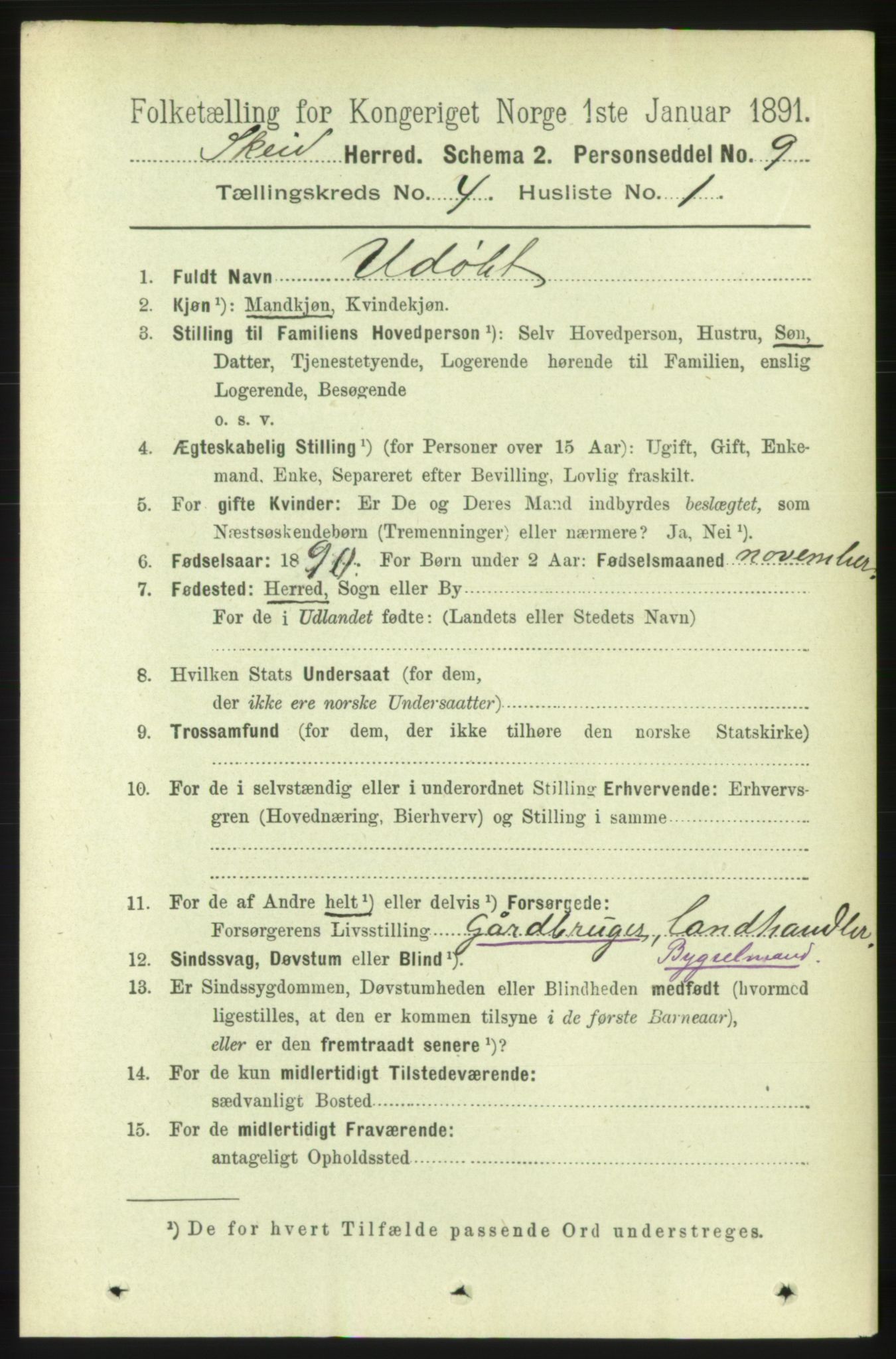 RA, 1891 census for 1732 Skei, 1891, p. 1365