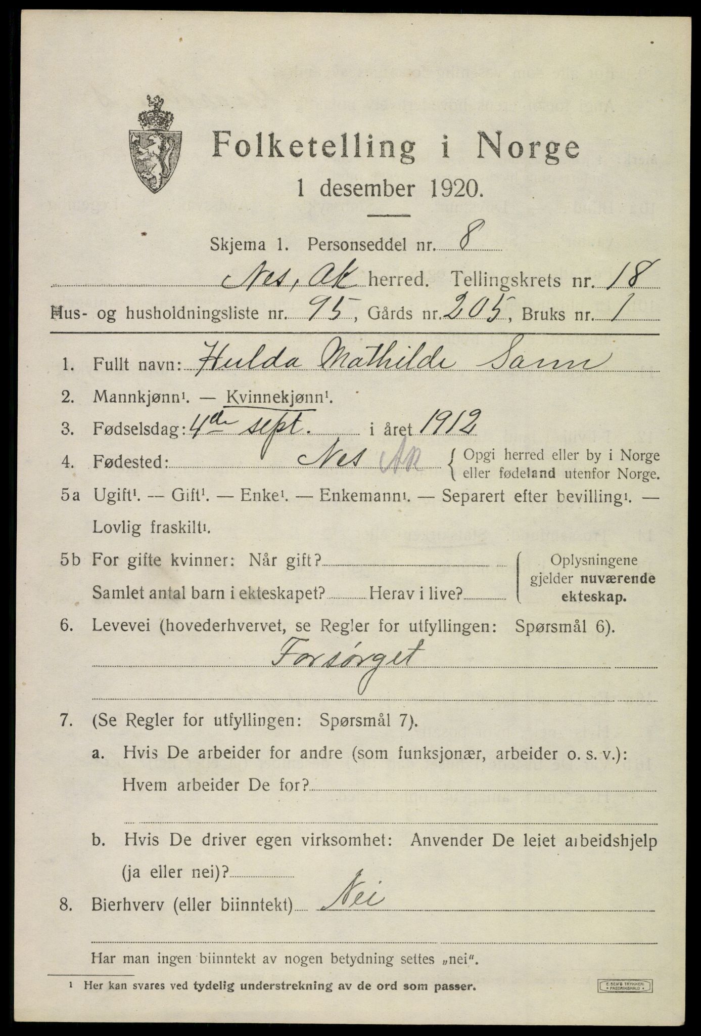 SAO, 1920 census for Nes, 1920, p. 18886