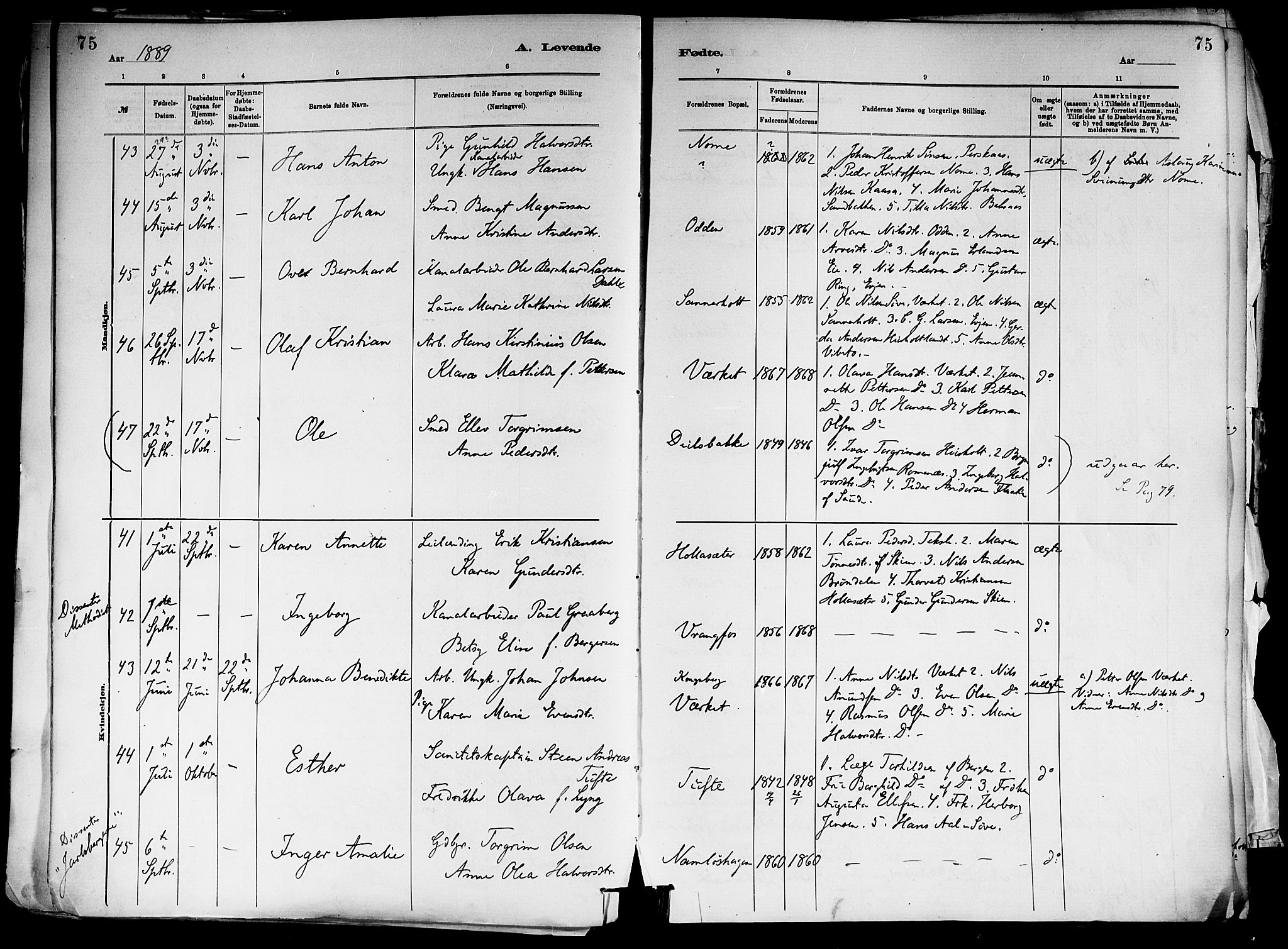 Holla kirkebøker, AV/SAKO-A-272/F/Fa/L0008: Parish register (official) no. 8, 1882-1897, p. 75