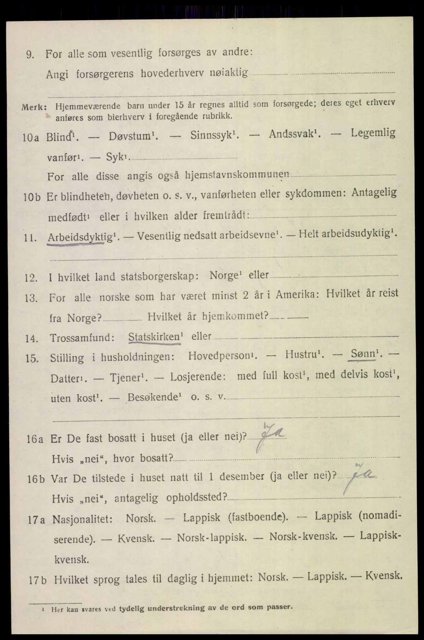 SAT, 1920 census for Bodin, 1920, p. 2695