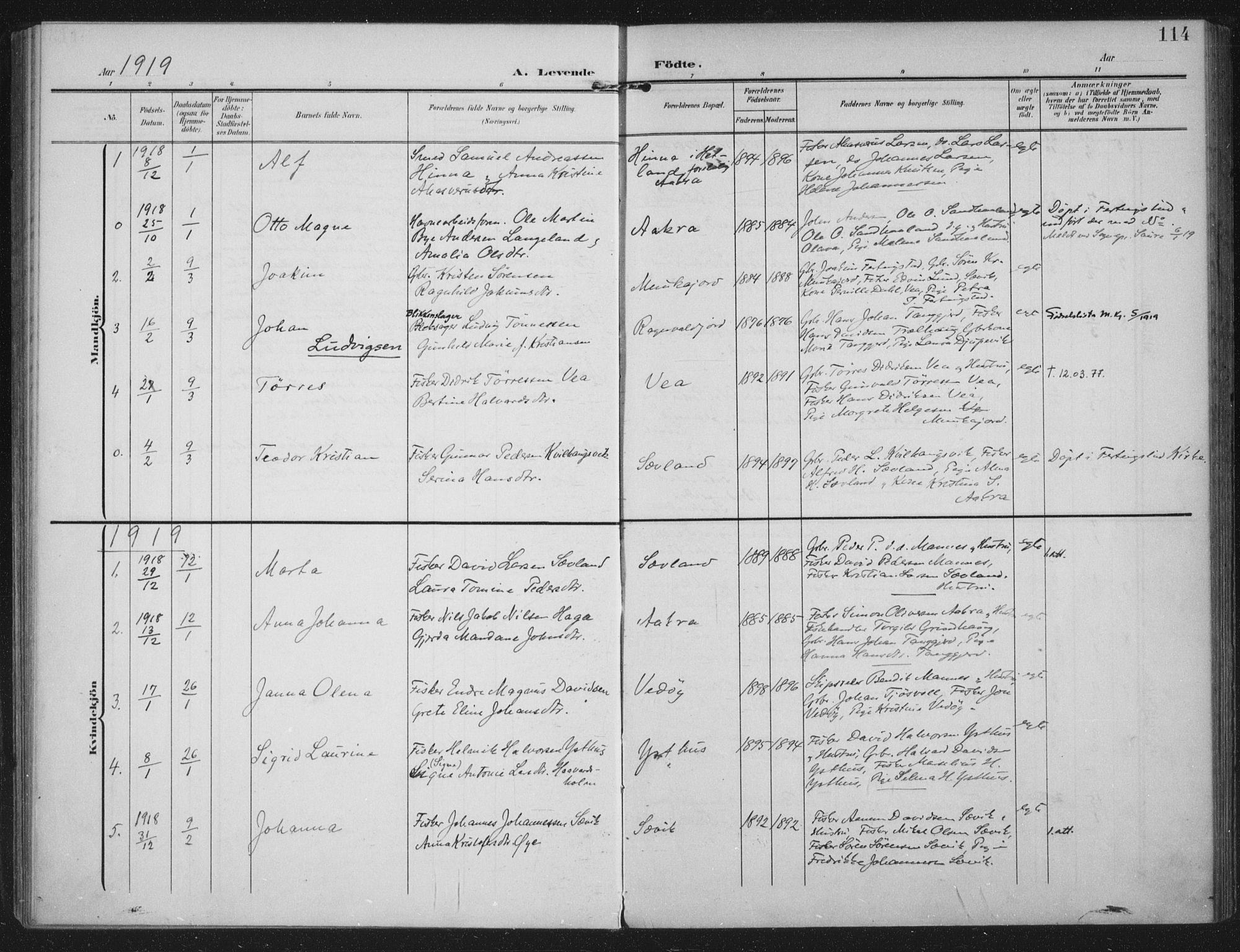 Kopervik sokneprestkontor, SAST/A-101850/H/Ha/Haa/L0005: Parish register (official) no. A 5, 1906-1924, p. 114