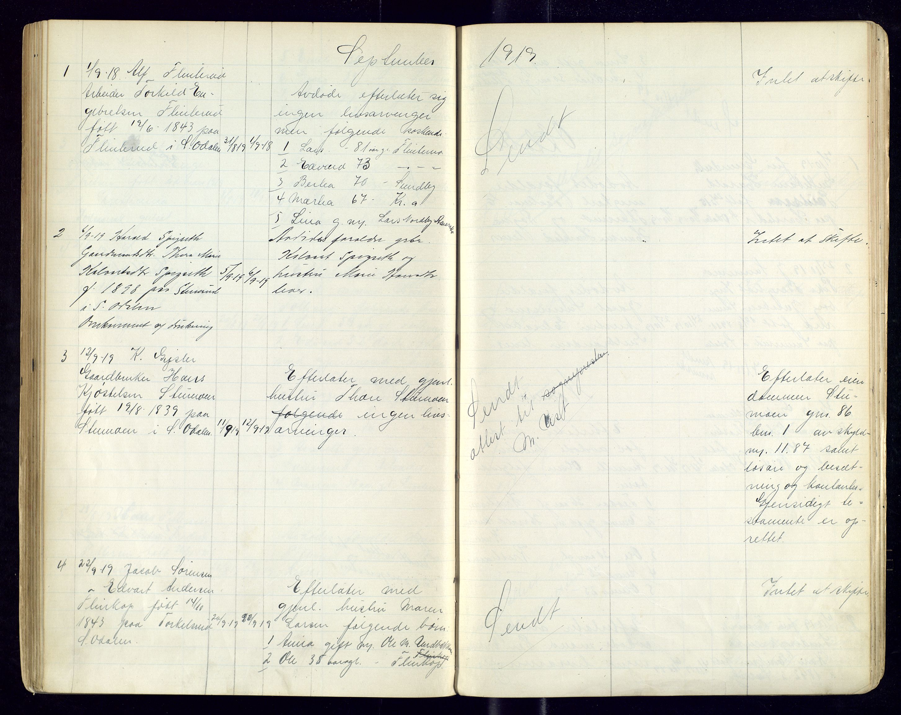 Sør-Odal lensmannskontor, AV/SAH-LHS-022/H/Hb/L0002/0002: Protokoller over anmeldte dødsfall / Protokoll over anmeldte dødsfall, 1915-1921