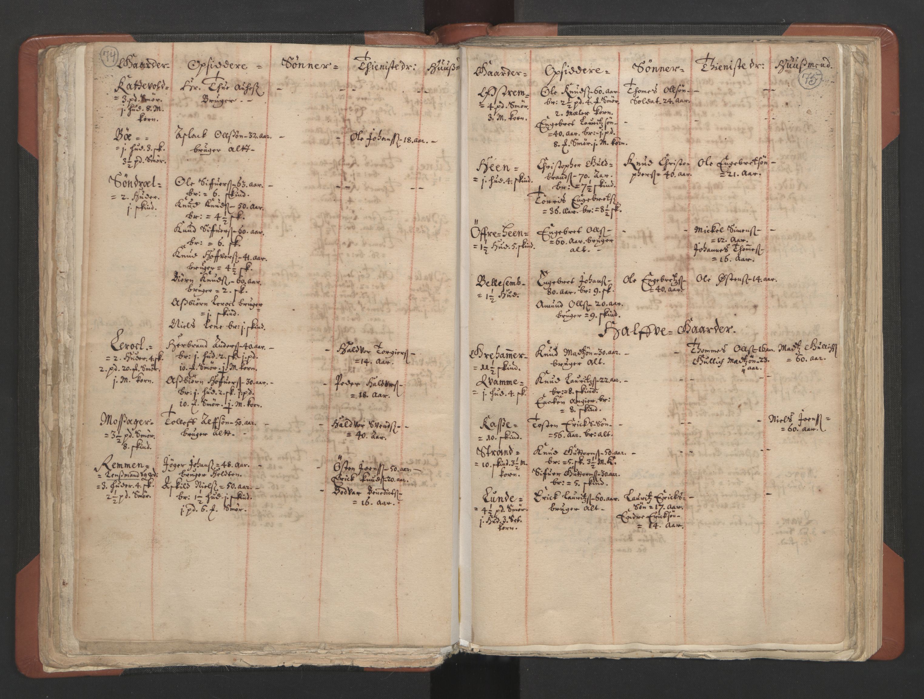 RA, Vicar's Census 1664-1666, no. 8: Valdres deanery, 1664-1666, p. 74-75