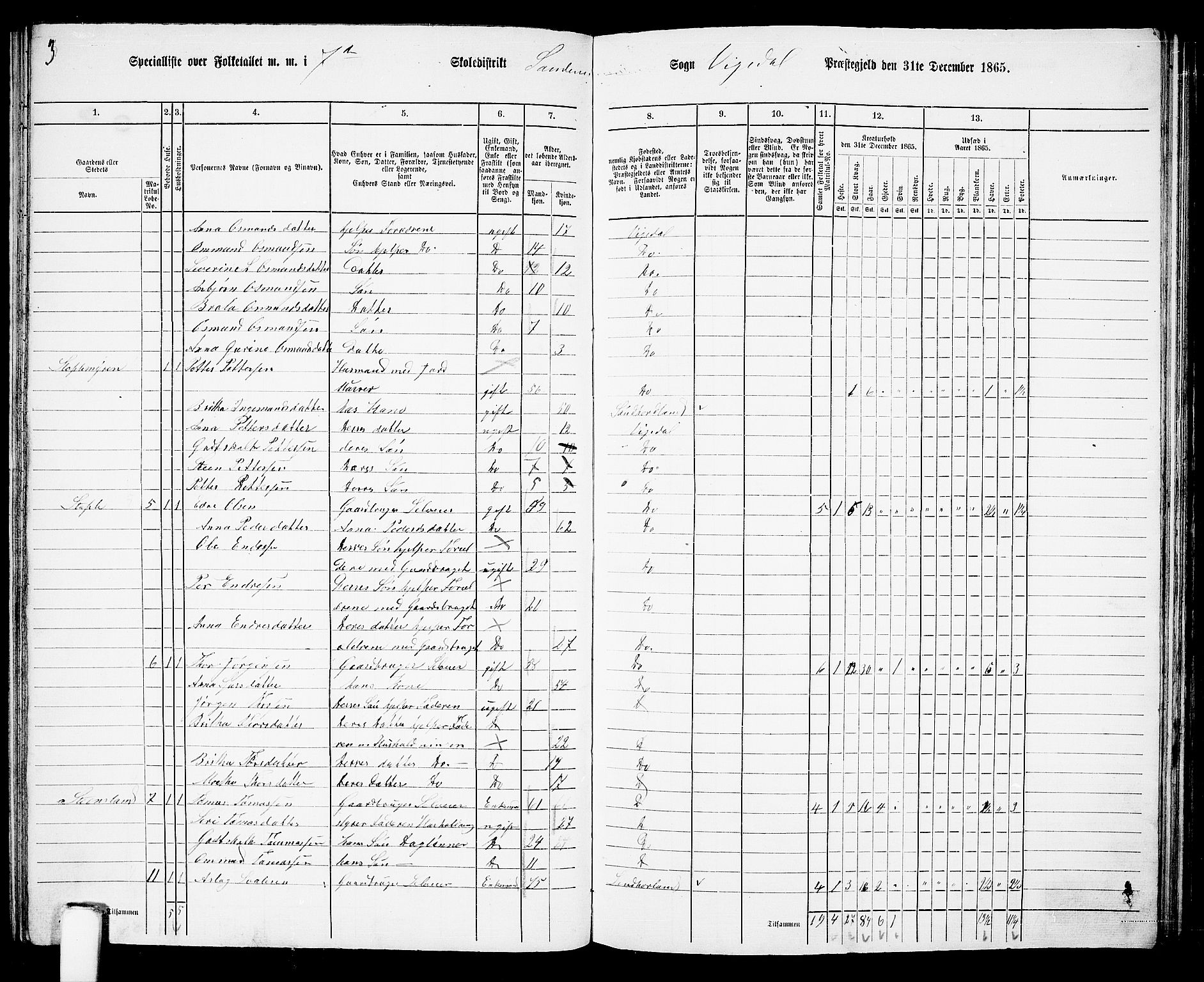 RA, 1865 census for Vikedal, 1865, p. 63