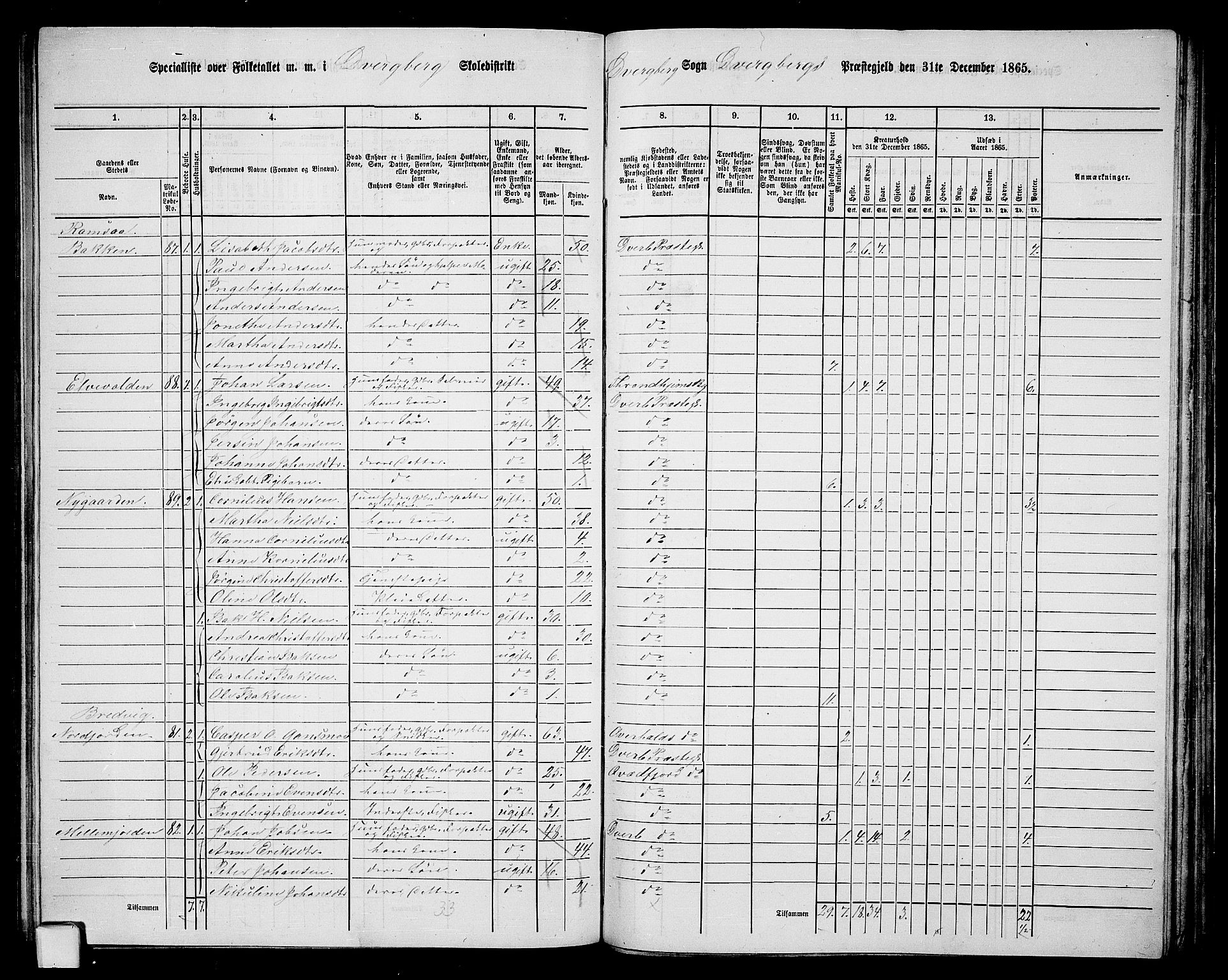 RA, 1865 census for Dverberg, 1865, p. 22