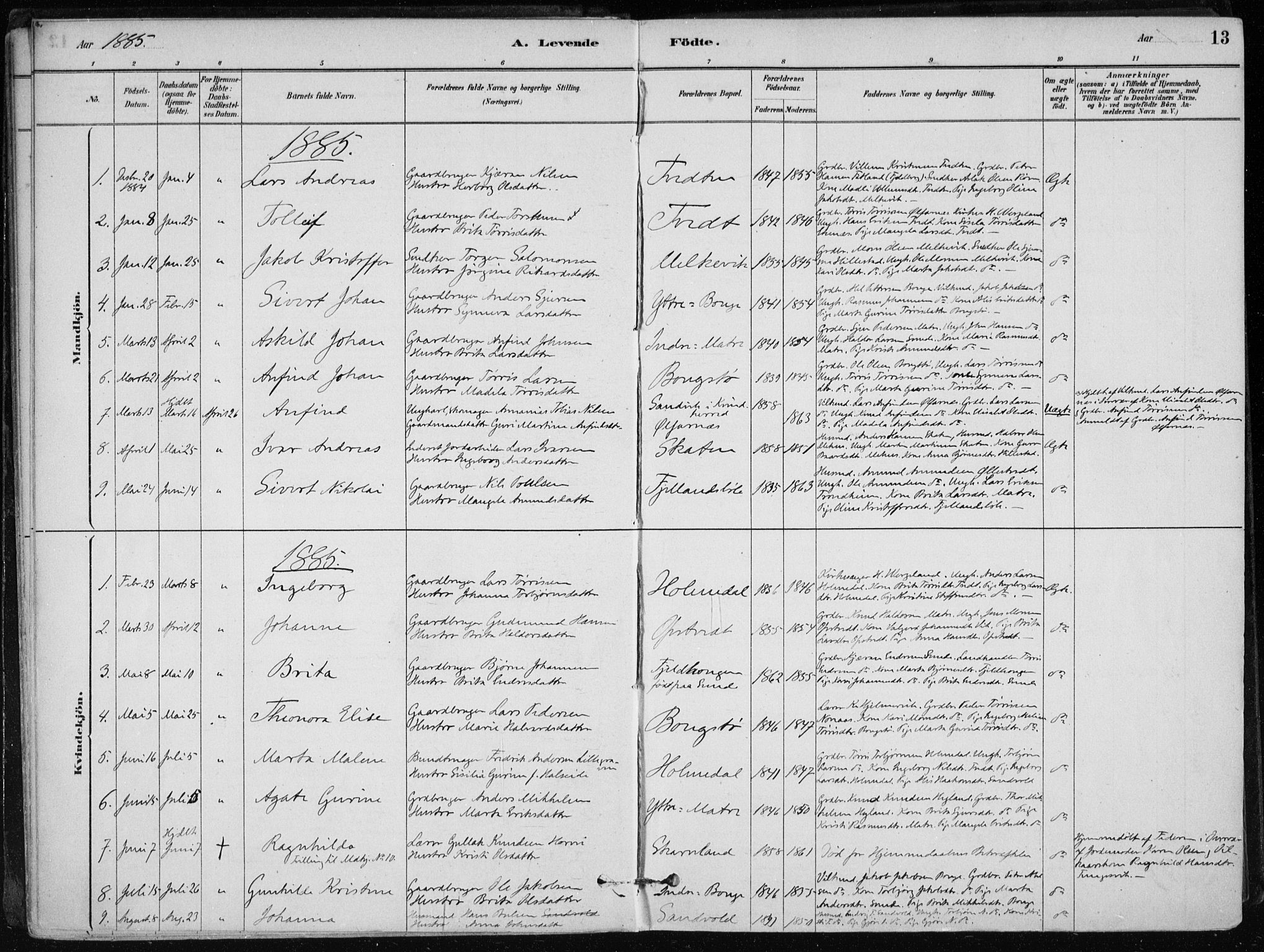 Skånevik sokneprestembete, SAB/A-77801/H/Haa: Parish register (official) no. C  1, 1879-1917, p. 13
