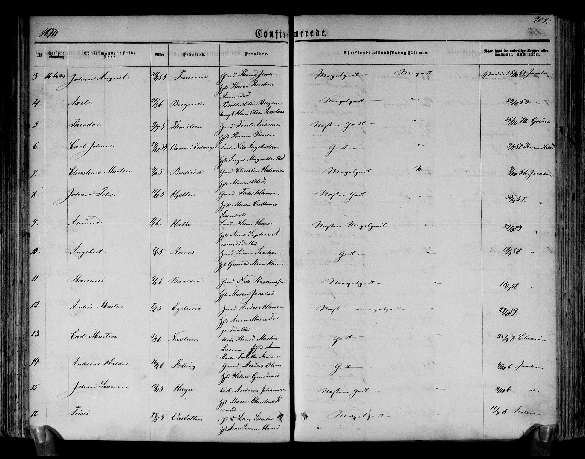 Brunlanes kirkebøker, AV/SAKO-A-342/F/Fa/L0005: Parish register (official) no. I 5, 1862-1877, p. 204