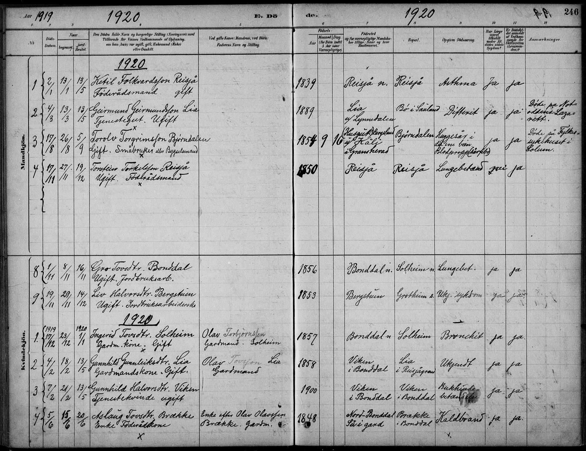 Hjartdal kirkebøker, AV/SAKO-A-270/F/Fc/L0002: Parish register (official) no. III 2, 1880-1936, p. 246