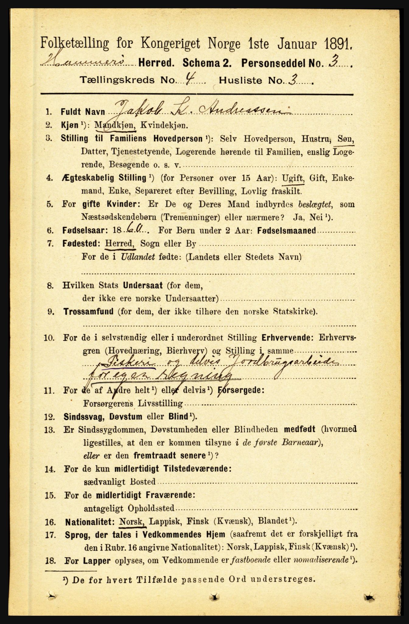 RA, 1891 census for 1849 Hamarøy, 1891, p. 1958