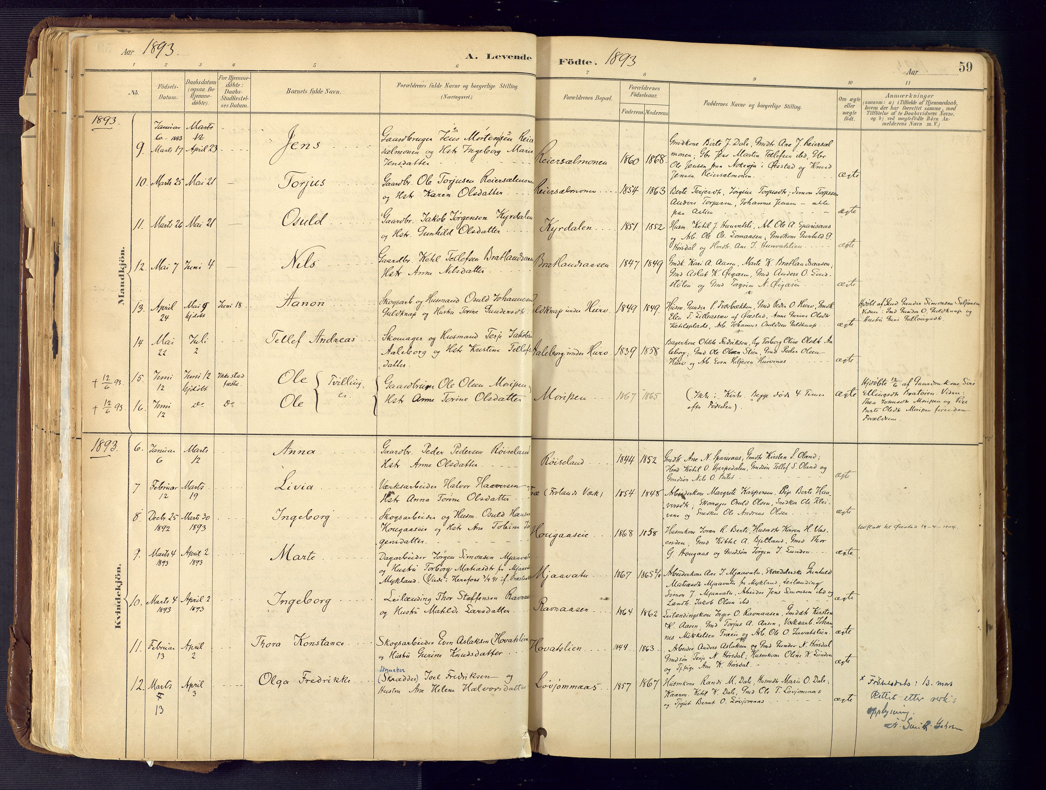 Froland sokneprestkontor, AV/SAK-1111-0013/F/Fa/L0005: Parish register (official) no. A 5, 1882-1921, p. 59