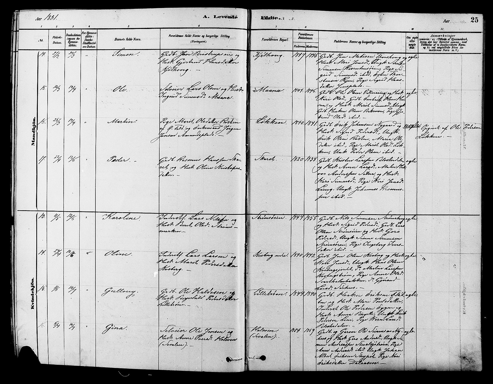 Alvdal prestekontor, SAH/PREST-060/H/Ha/Hab/L0003: Parish register (copy) no. 3, 1878-1907, p. 25