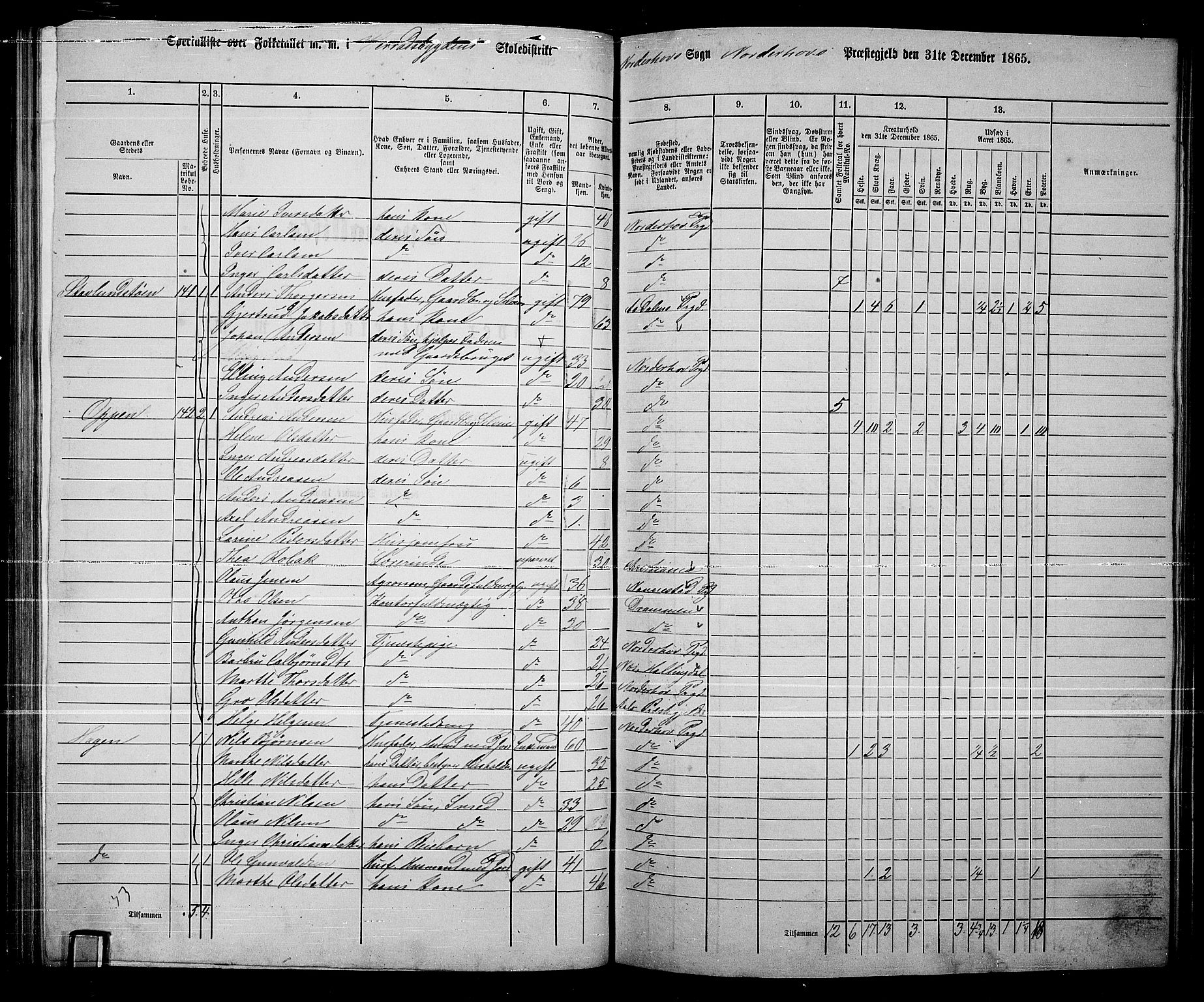 RA, 1865 census for Norderhov/Norderhov, Haug og Lunder, 1865, p. 173