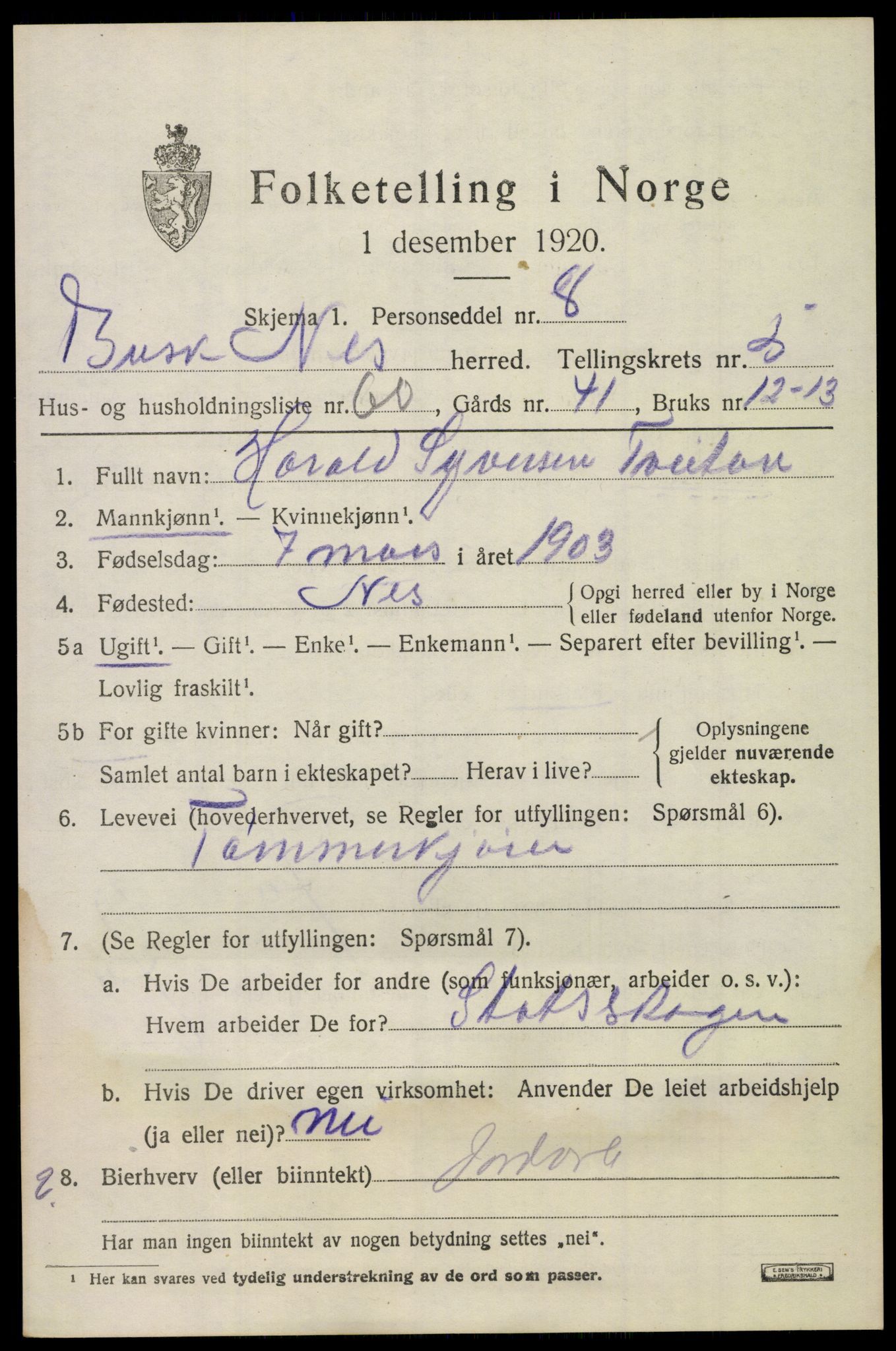 SAKO, 1920 census for Nes (Buskerud), 1920, p. 3058