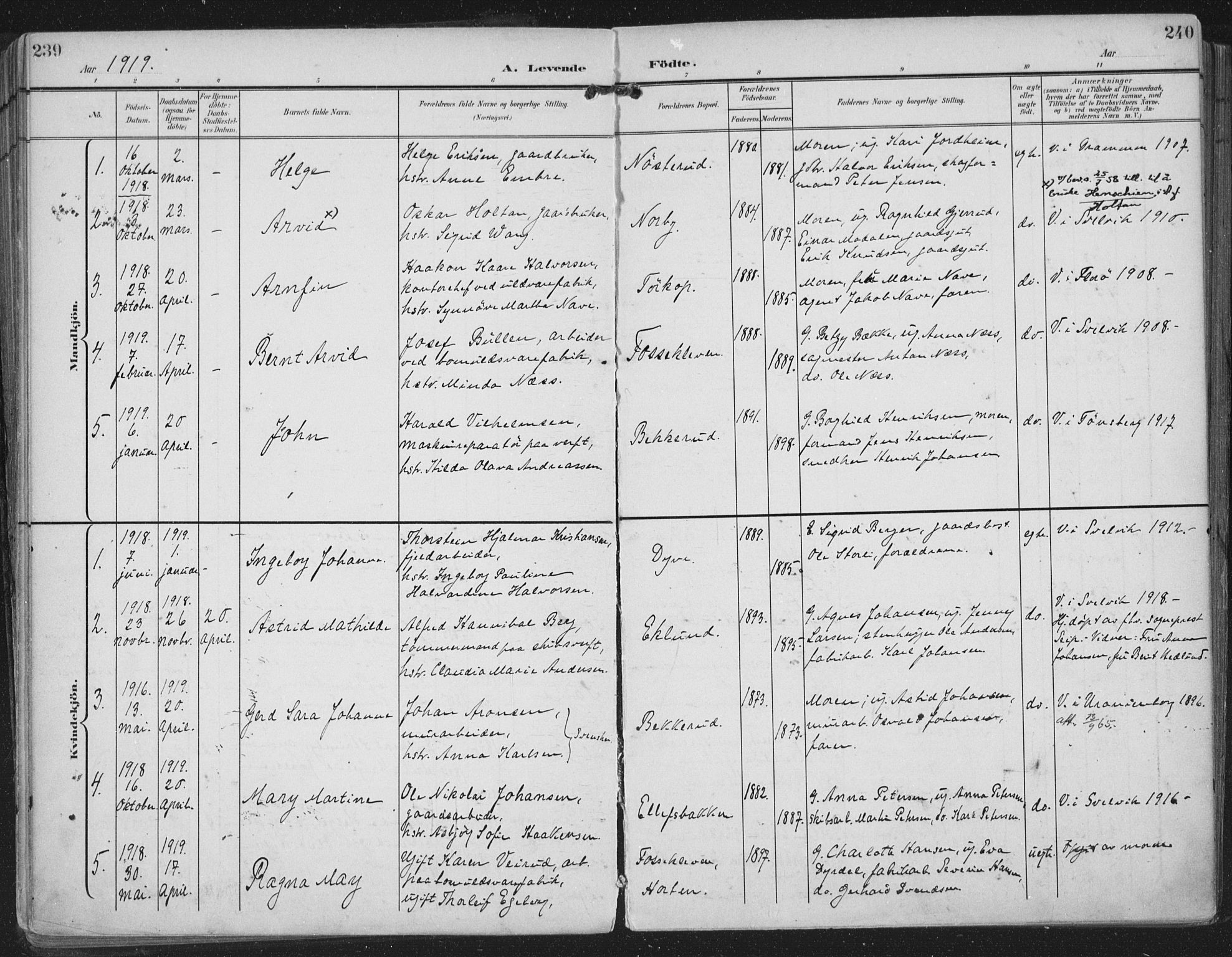 Strømm kirkebøker, AV/SAKO-A-322/F/Fa/L0005: Parish register (official) no. I 5, 1898-1919, p. 239-240