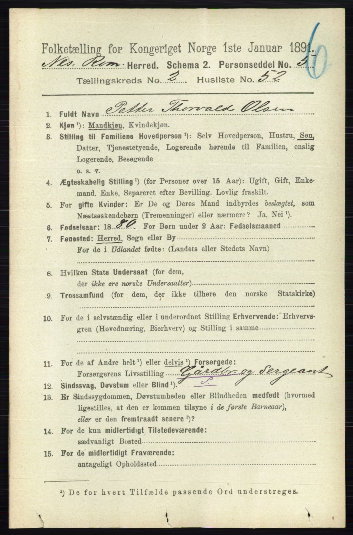 RA, 1891 census for 0236 Nes, 1891, p. 1205