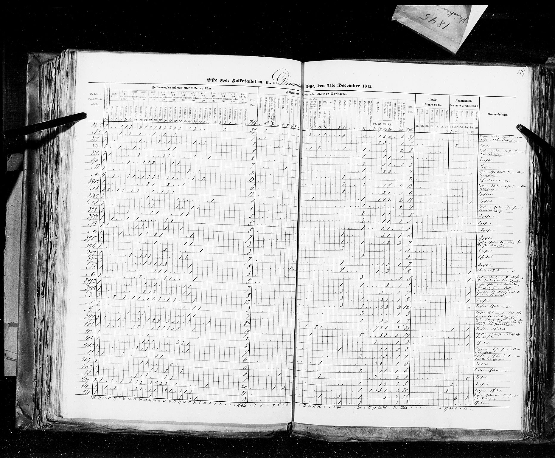 RA, Census 1845, vol. 10: Cities, 1845, p. 217