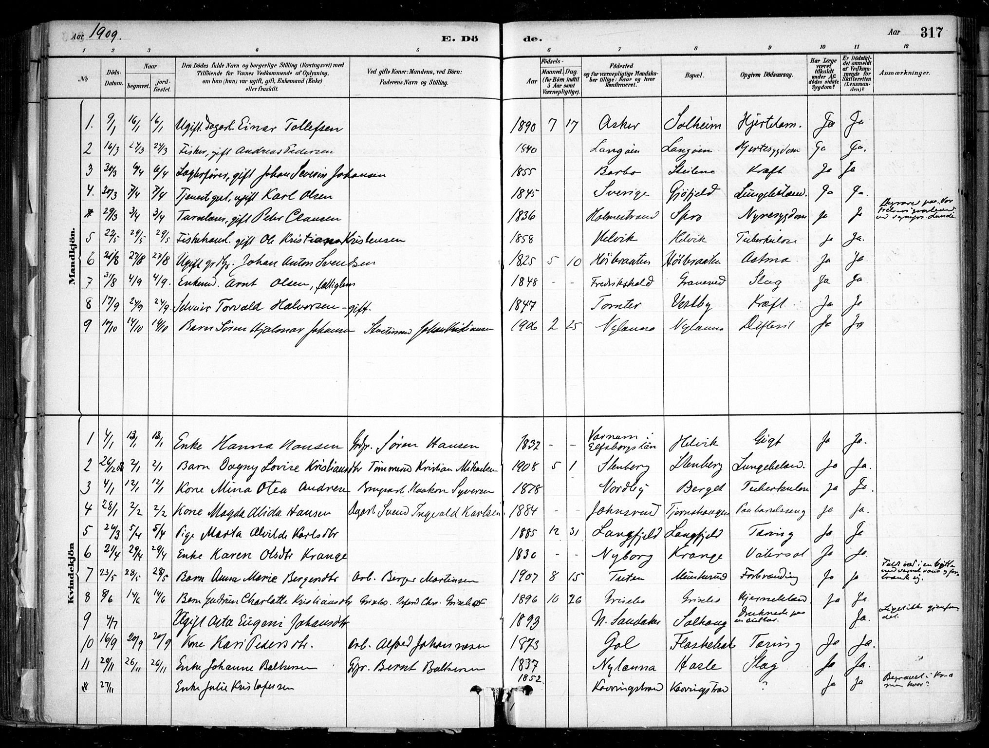 Nesodden prestekontor Kirkebøker, SAO/A-10013/F/Fa/L0009: Parish register (official) no. I 9, 1880-1915, p. 317