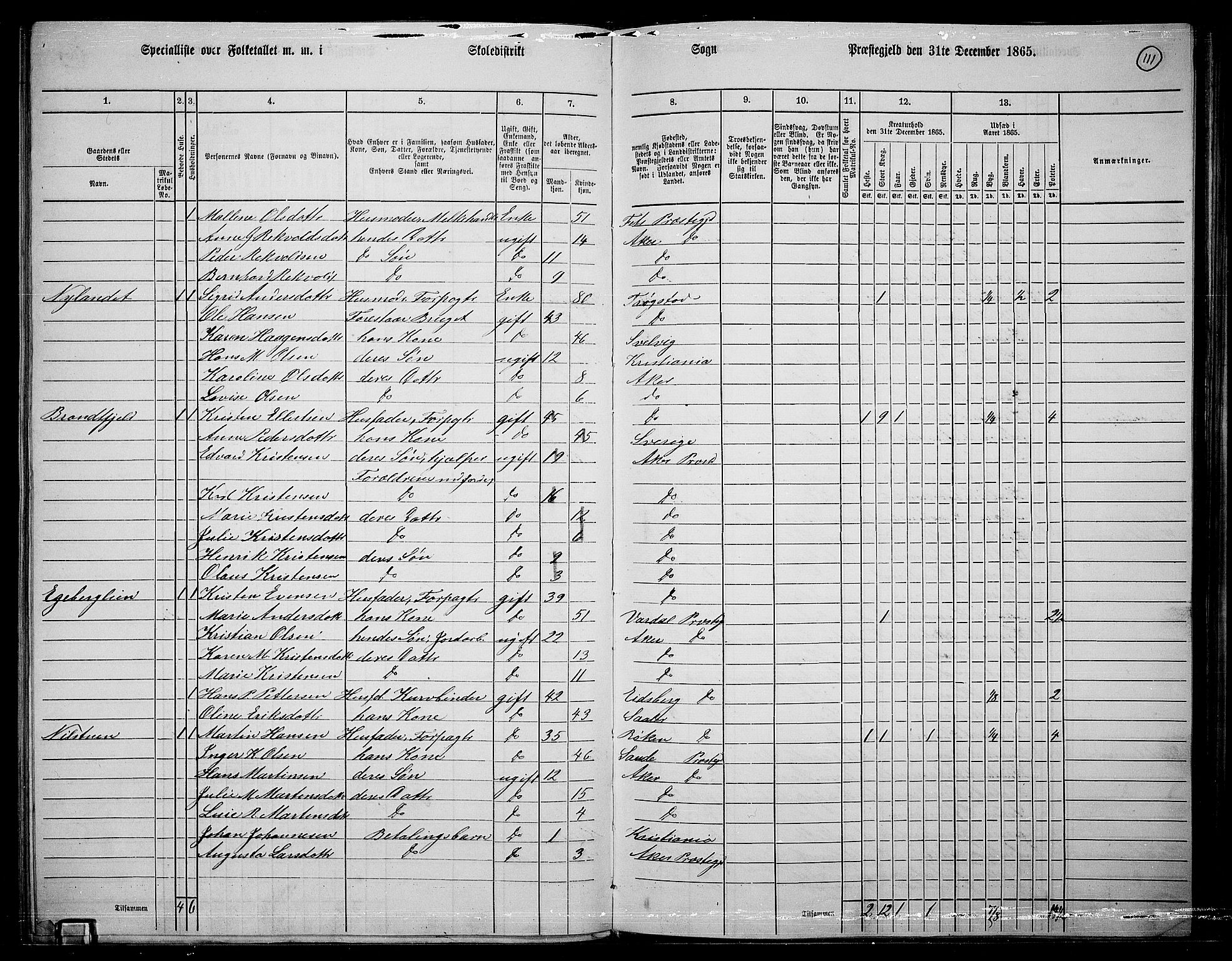 RA, 1865 census for Østre Aker, 1865, p. 335