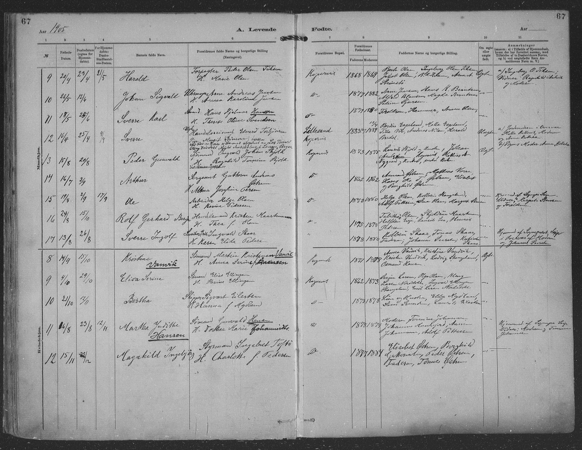 Kopervik sokneprestkontor, SAST/A-101850/H/Ha/Haa/L0001: Parish register (official) no. A 1, 1880-1919, p. 67