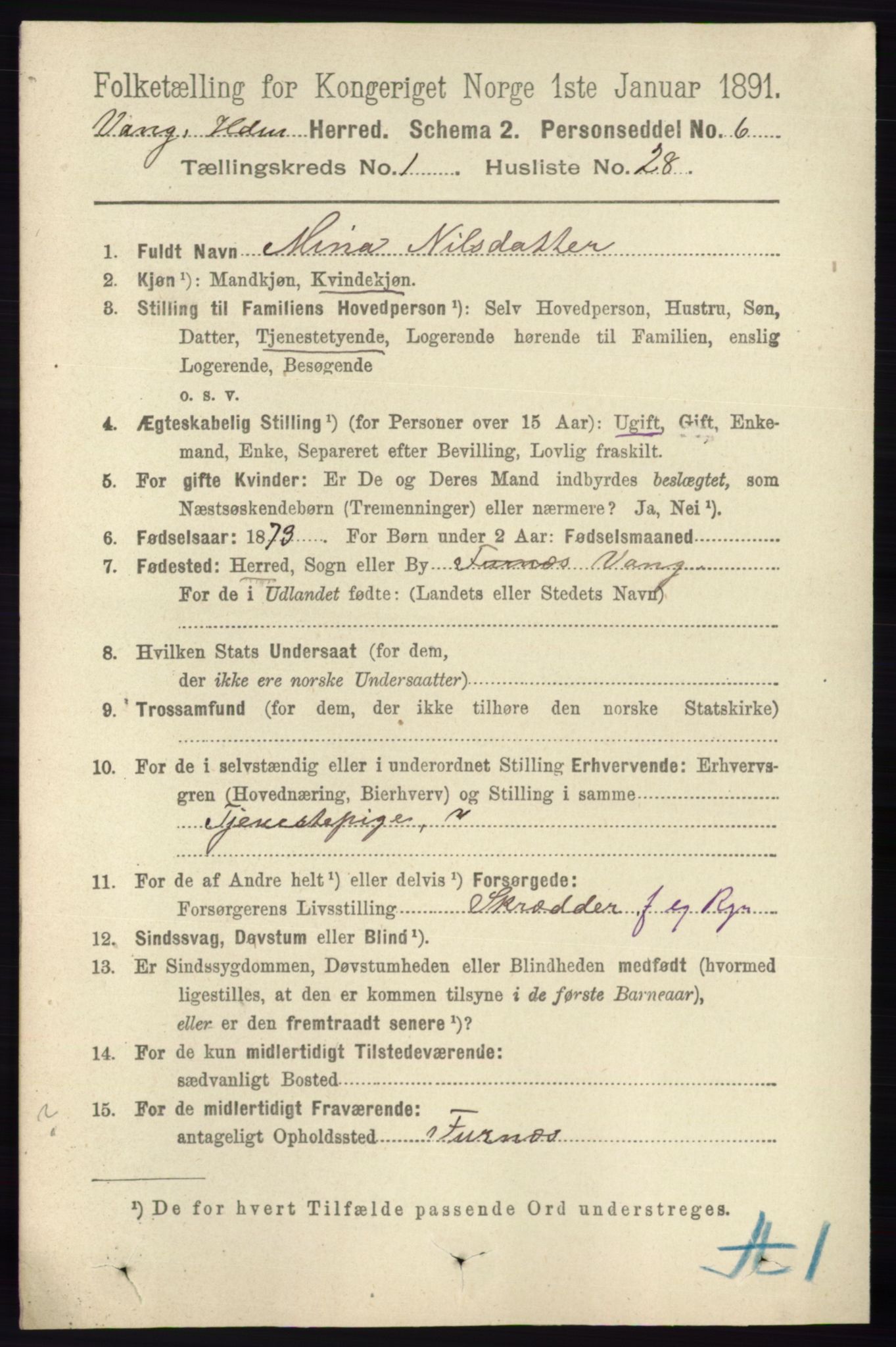 RA, 1891 census for 0414 Vang, 1891, p. 347