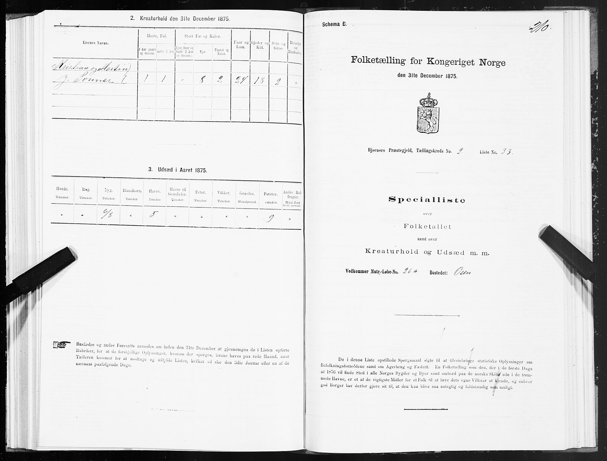 SAT, 1875 census for 1632P Bjørnør, 1875, p. 1210