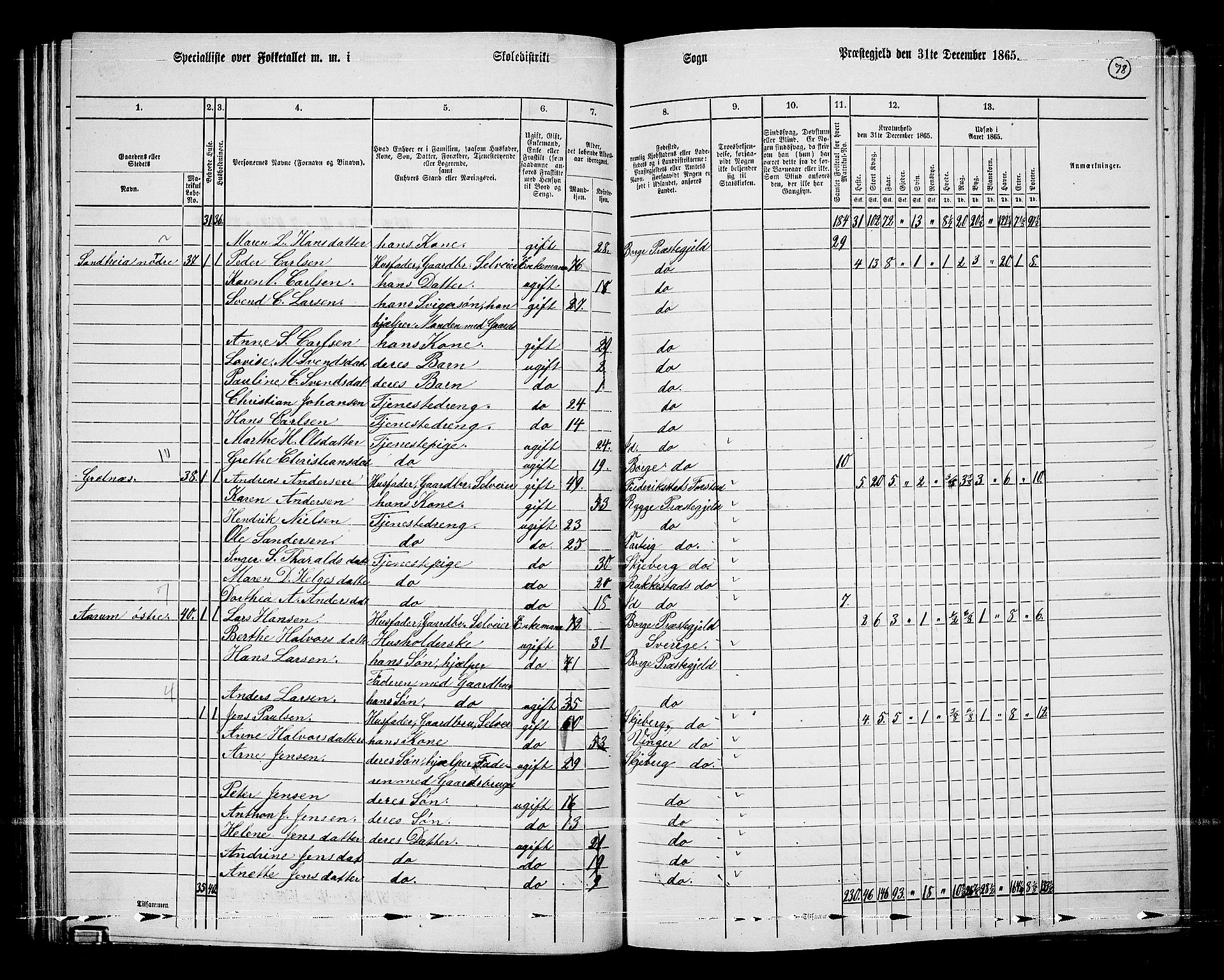 RA, 1865 census for Borge, 1865, p. 73