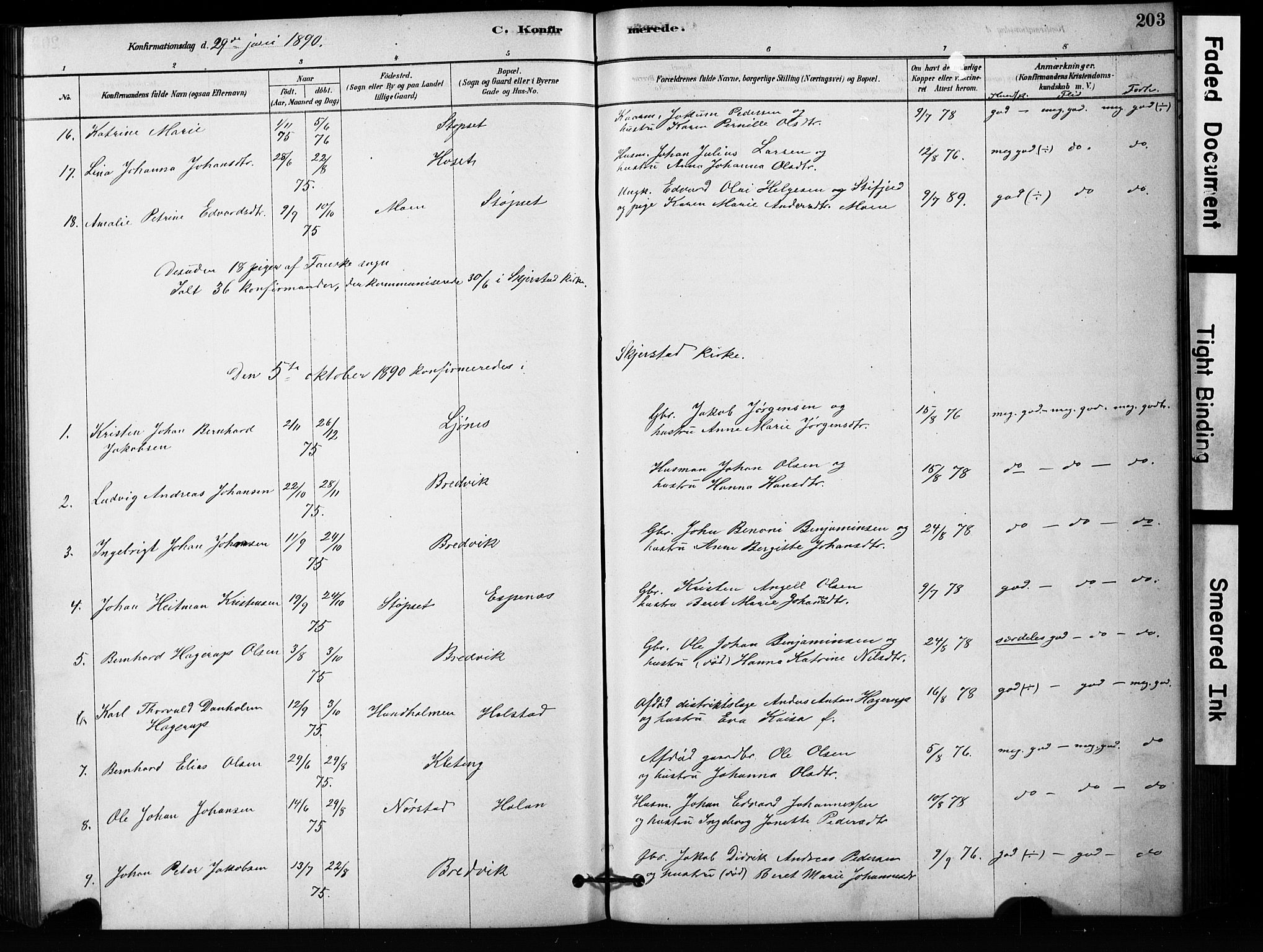 Ministerialprotokoller, klokkerbøker og fødselsregistre - Nordland, AV/SAT-A-1459/852/L0754: Parish register (copy) no. 852C05, 1878-1894, p. 203