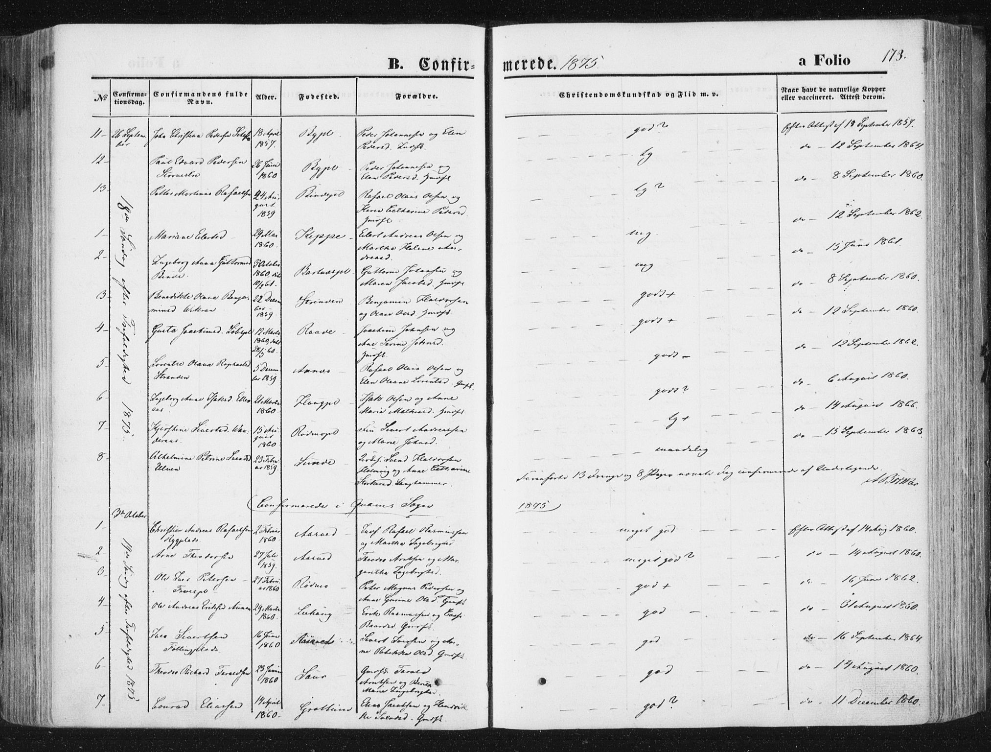 Ministerialprotokoller, klokkerbøker og fødselsregistre - Nord-Trøndelag, AV/SAT-A-1458/746/L0447: Parish register (official) no. 746A06, 1860-1877, p. 173