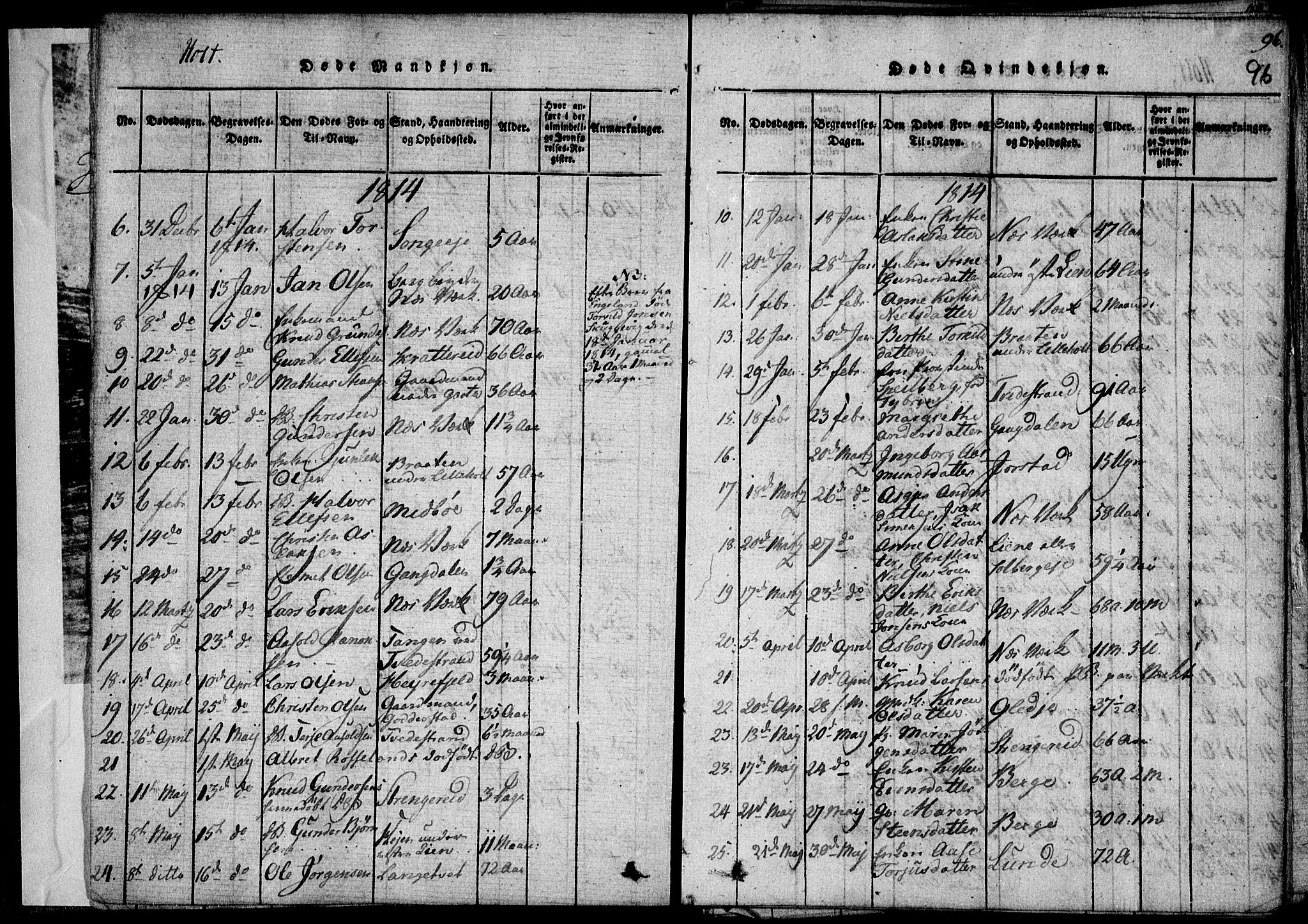 Holt sokneprestkontor, AV/SAK-1111-0021/F/Fa/L0005: Parish register (official) no. A 5, 1813-1821, p. 96