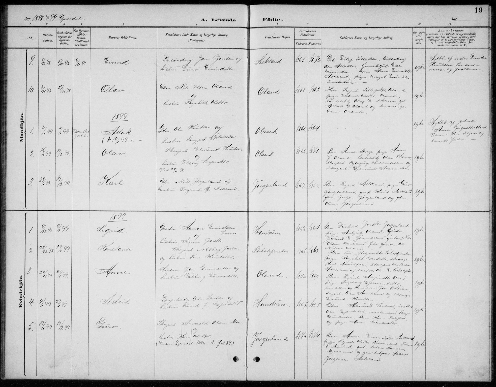 Åmli sokneprestkontor, AV/SAK-1111-0050/F/Fb/Fba/L0002: Parish register (copy) no. B 2, 1890-1912, p. 19