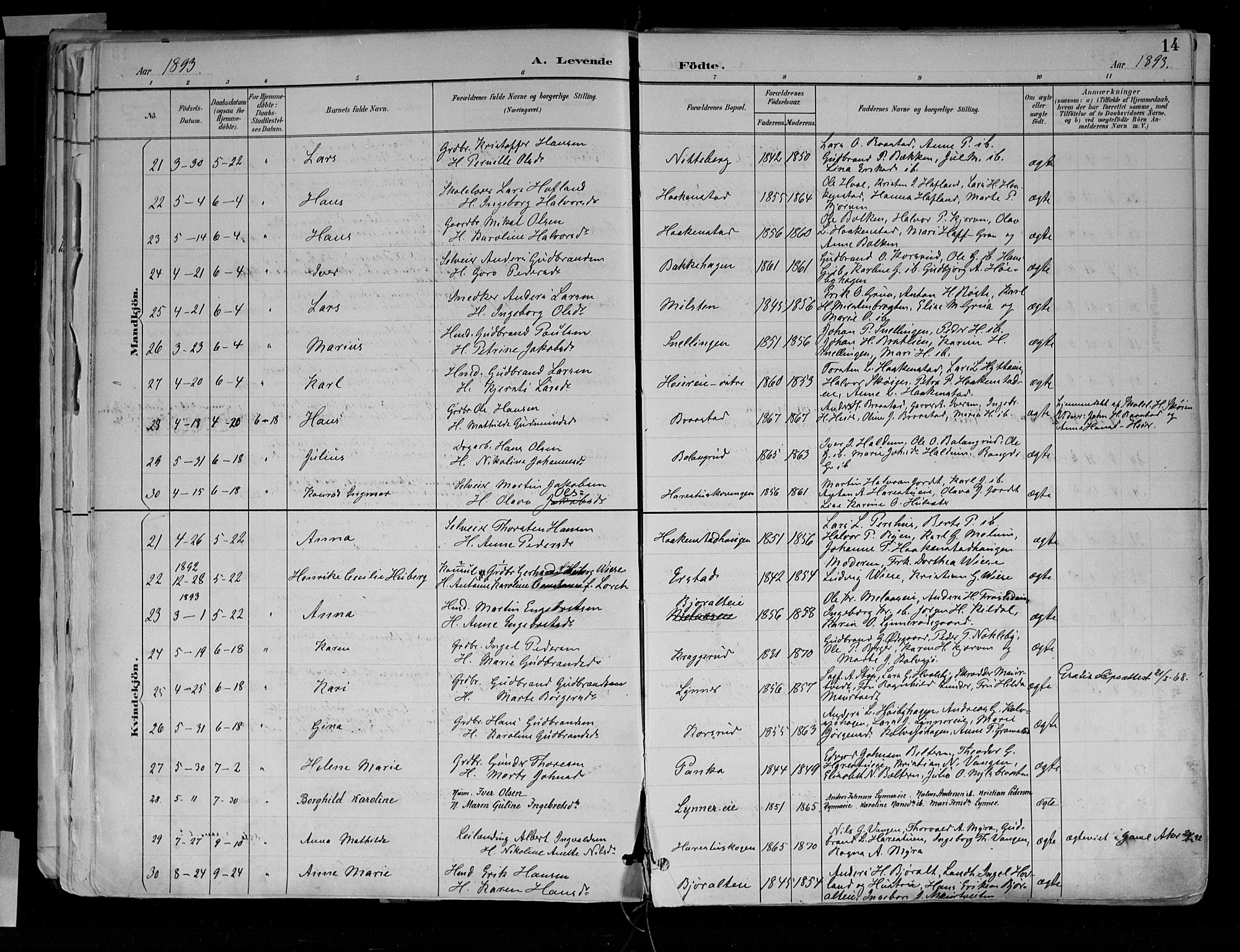 Jevnaker prestekontor, SAH/PREST-116/H/Ha/Haa/L0010: Parish register (official) no. 10, 1891-1906, p. 14