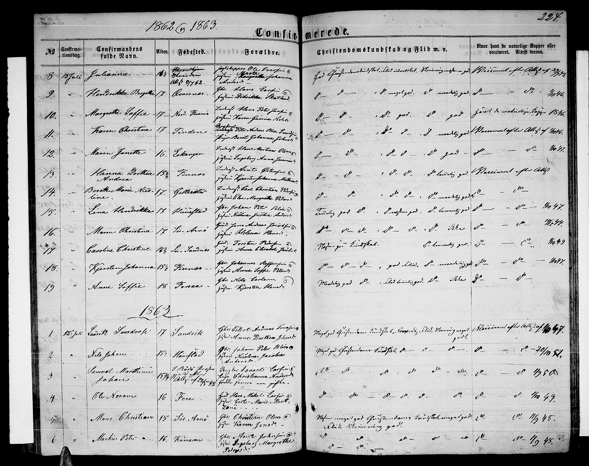 Ministerialprotokoller, klokkerbøker og fødselsregistre - Nordland, SAT/A-1459/805/L0107: Parish register (copy) no. 805C03, 1862-1885, p. 224