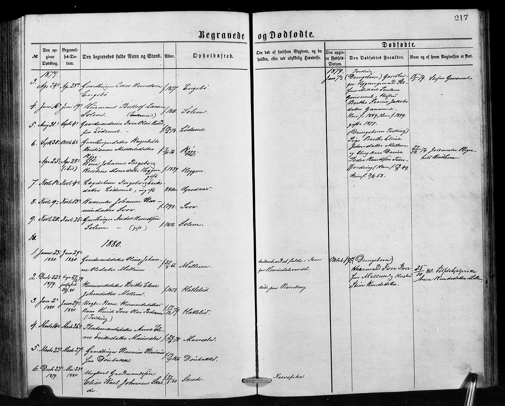Hornindal sokneprestembete, AV/SAB-A-82401/H/Hab: Parish register (copy) no. A 1, 1876-1894, p. 217