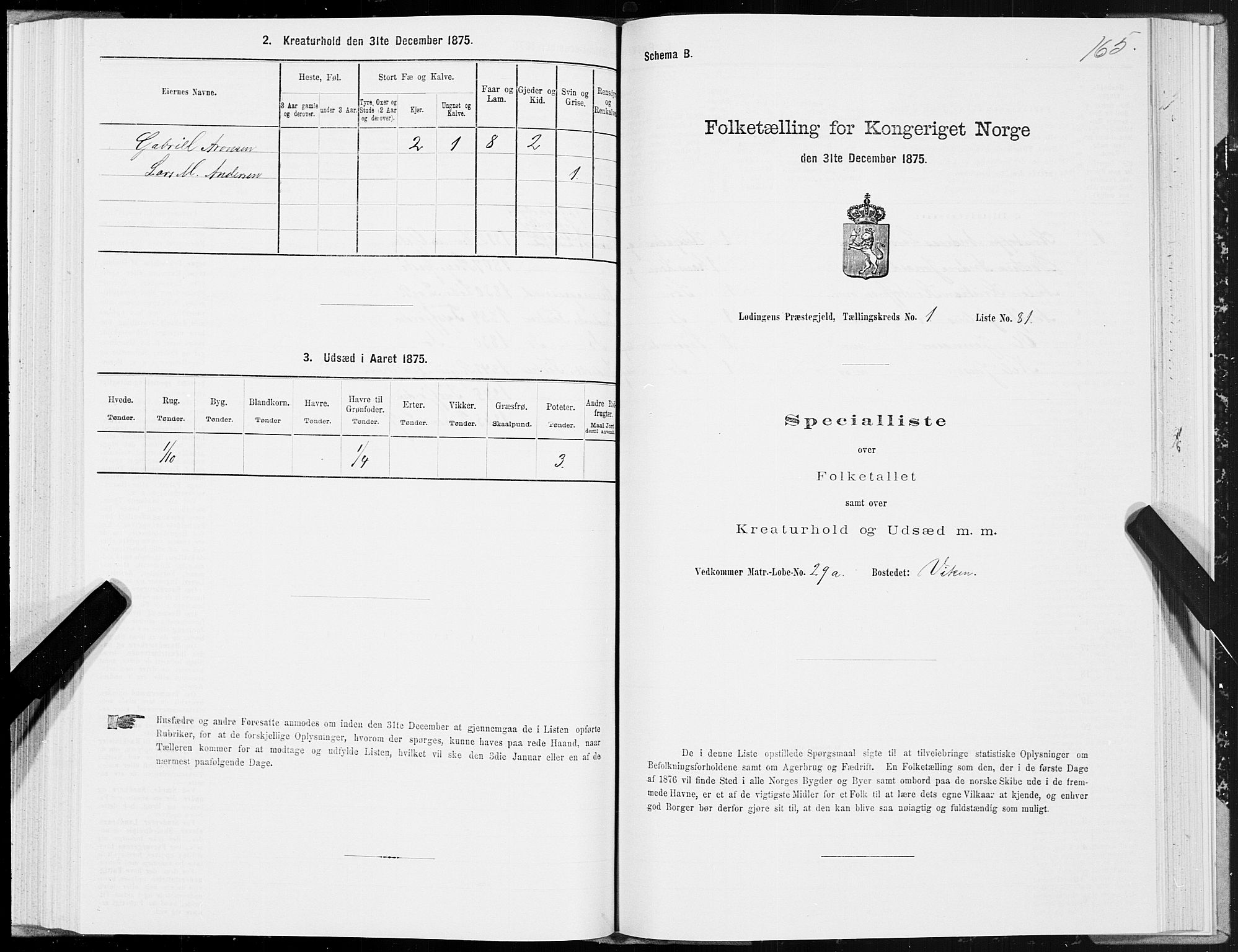 SAT, 1875 census for 1851P Lødingen, 1875, p. 1165