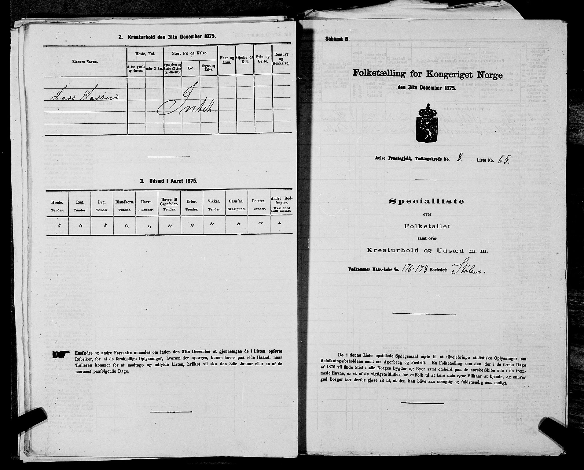 SAST, 1875 census for 1138P Jelsa, 1875, p. 801