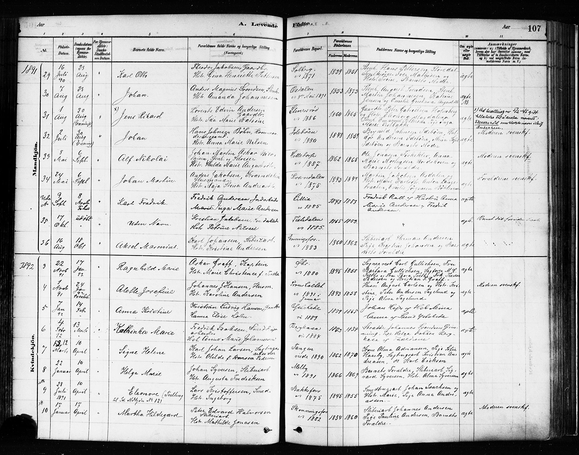 Idd prestekontor Kirkebøker, SAO/A-10911/F/Fc/L0006a: Parish register (official) no. III 6A, 1878-1903, p. 107
