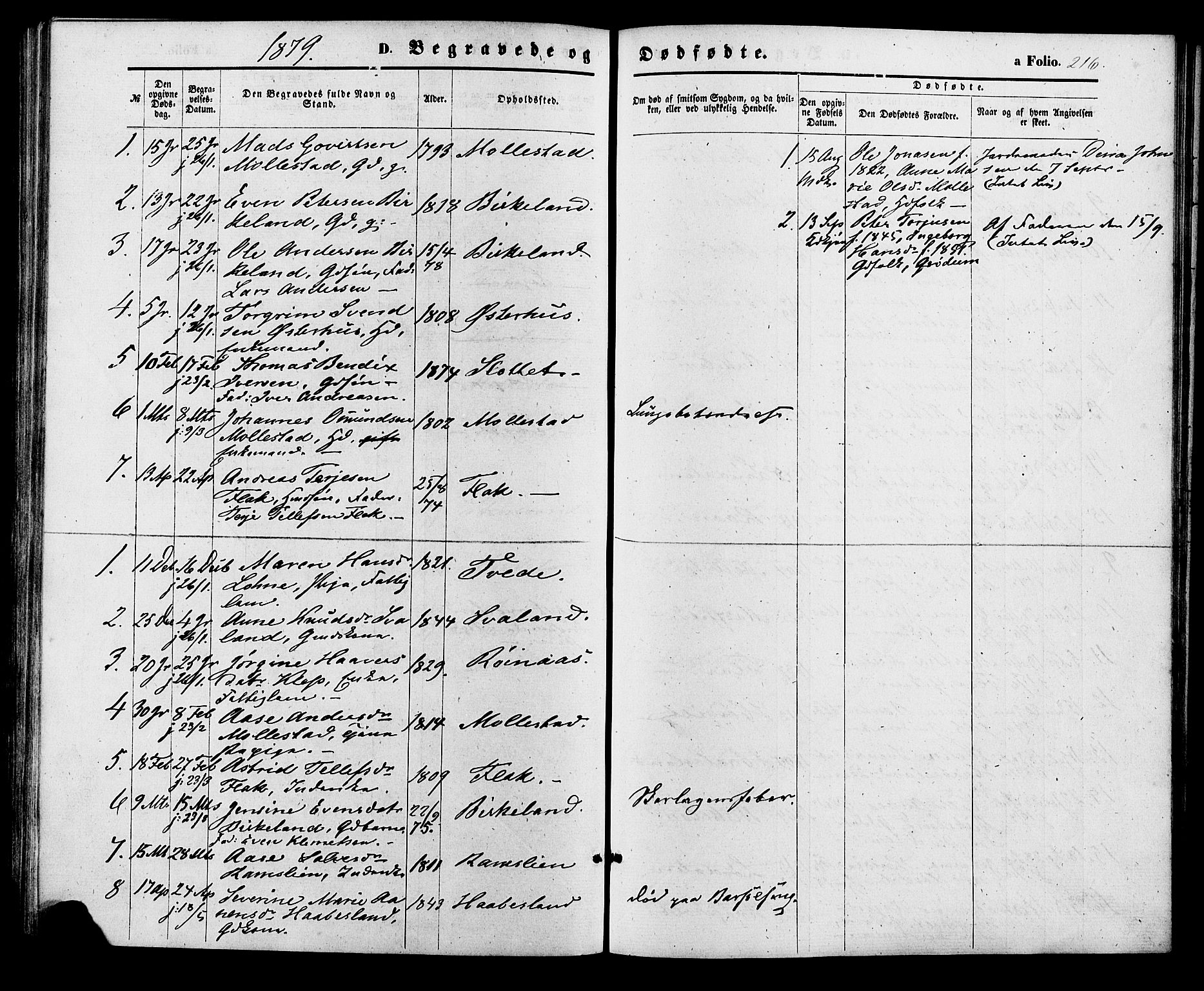 Birkenes sokneprestkontor, AV/SAK-1111-0004/F/Fa/L0004: Parish register (official) no. A 4, 1867-1886, p. 216