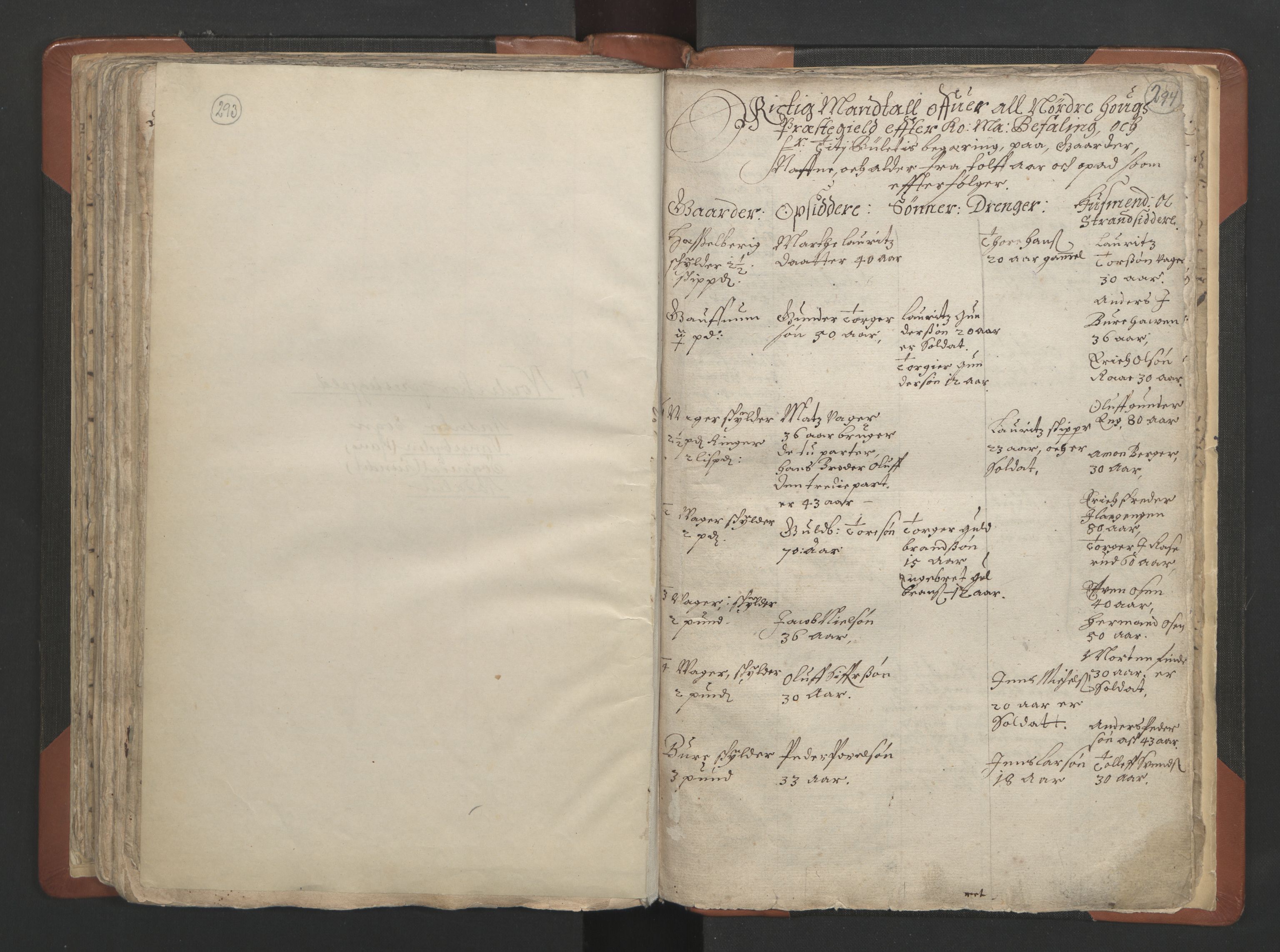 RA, Vicar's Census 1664-1666, no. 7: Hadeland deanery, 1664-1666, p. 293-294