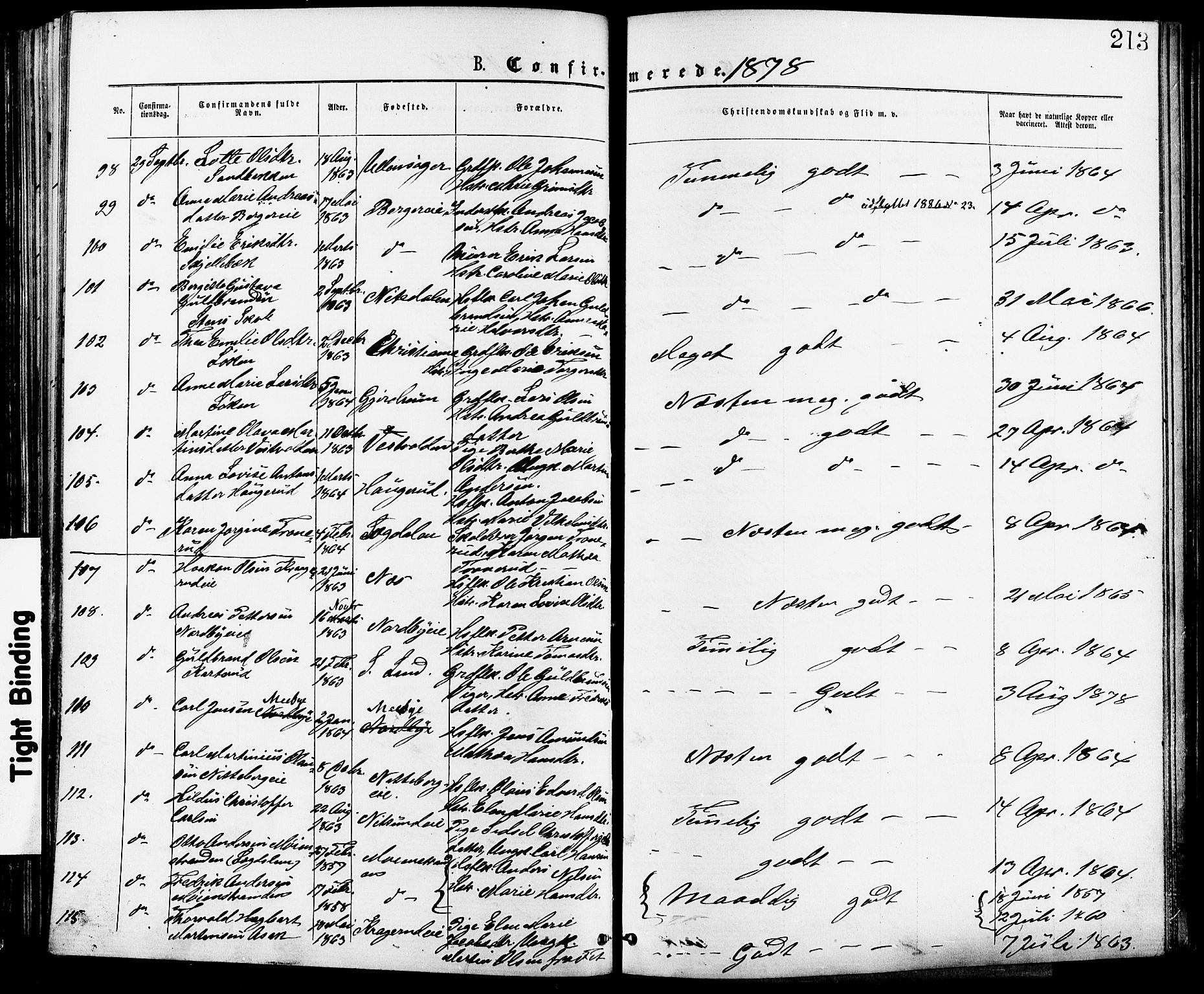 Skedsmo prestekontor Kirkebøker, AV/SAO-A-10033a/F/Fa/L0012: Parish register (official) no. I 12, 1876-1883, p. 213