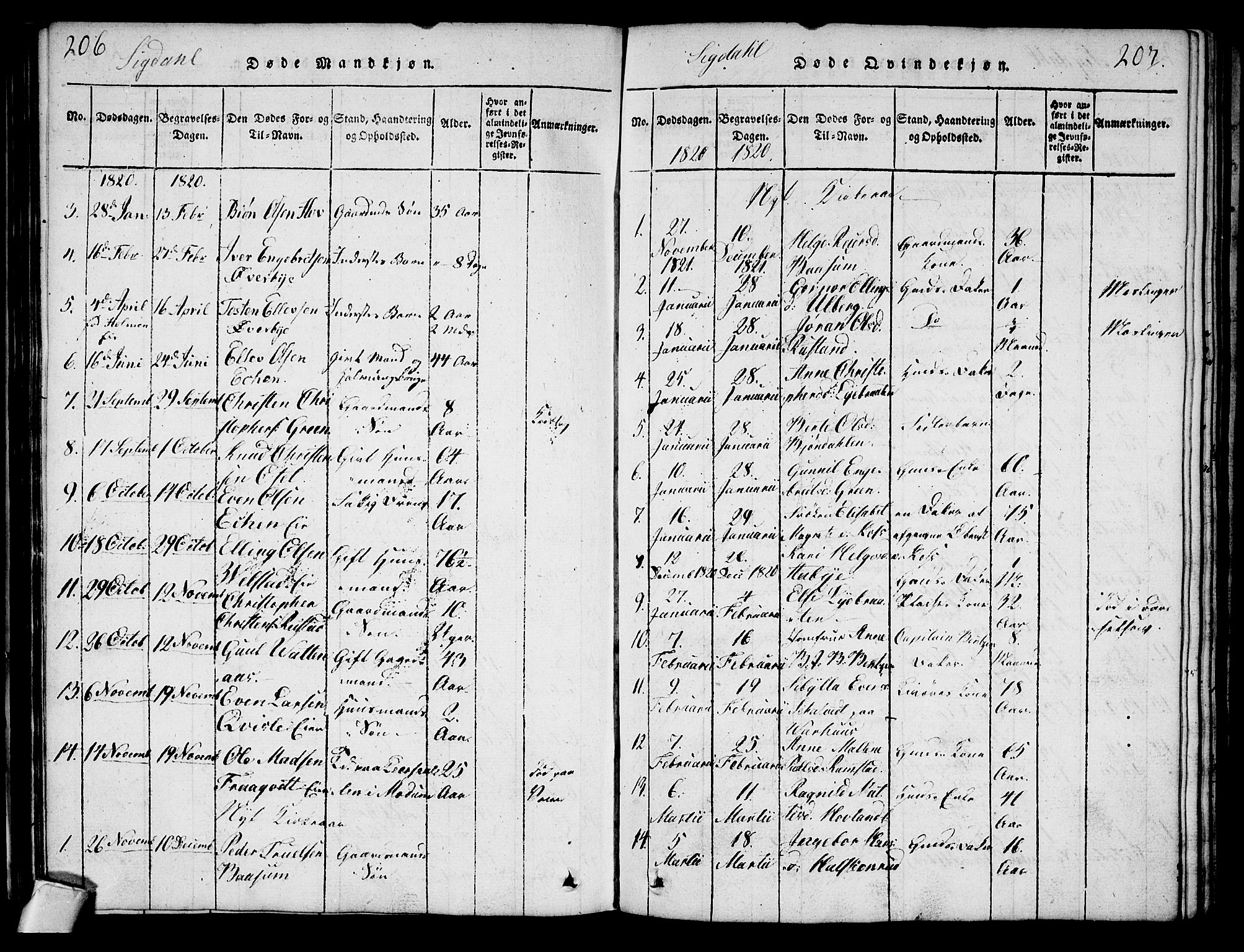 Sigdal kirkebøker, AV/SAKO-A-245/G/Ga/L0001: Parish register (copy) no. I 1 /1, 1816-1835, p. 206-207