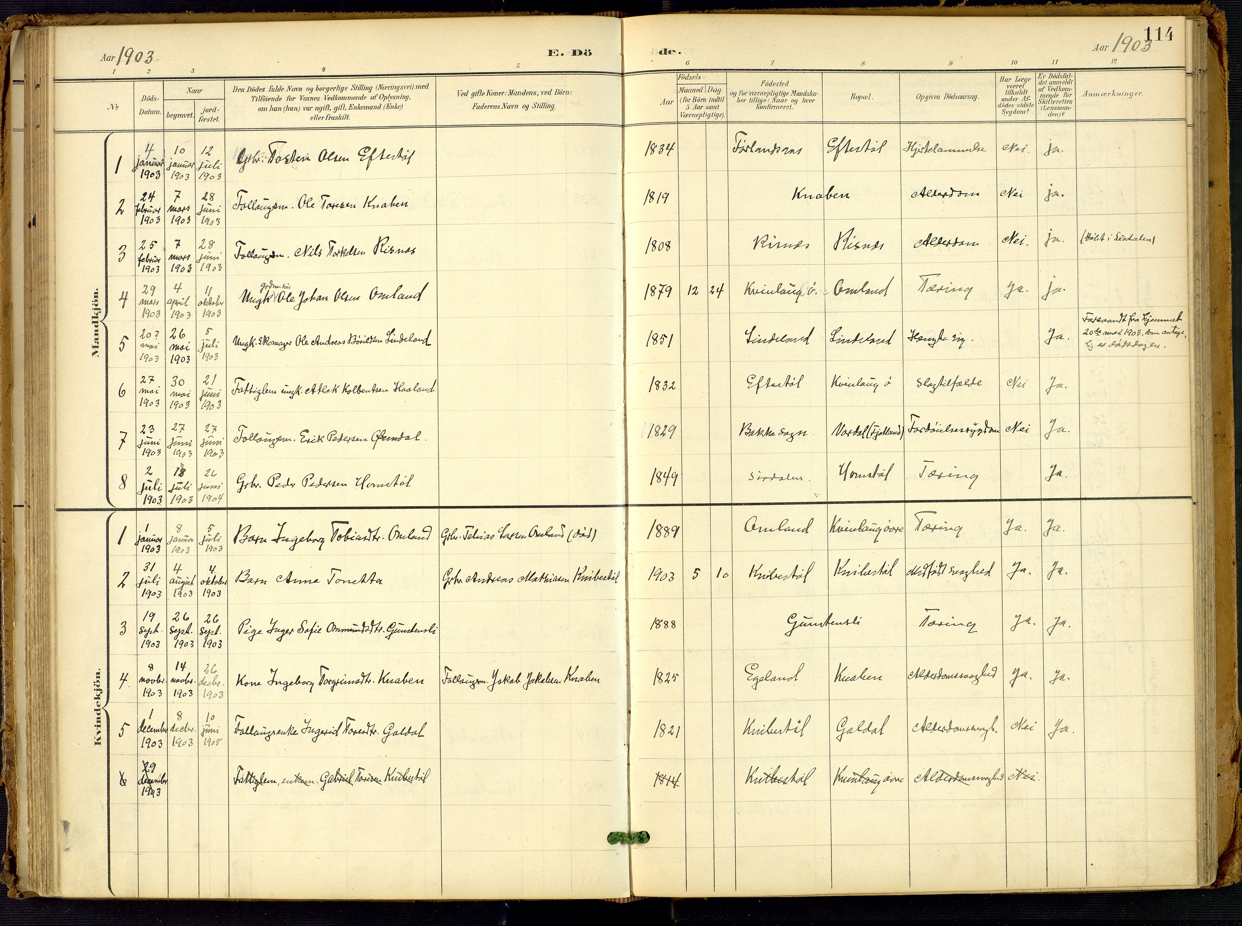 Fjotland sokneprestkontor, AV/SAK-1111-0010/F/Fa/L0003: Parish register (official) no. A 3, 1899-1917, p. 114