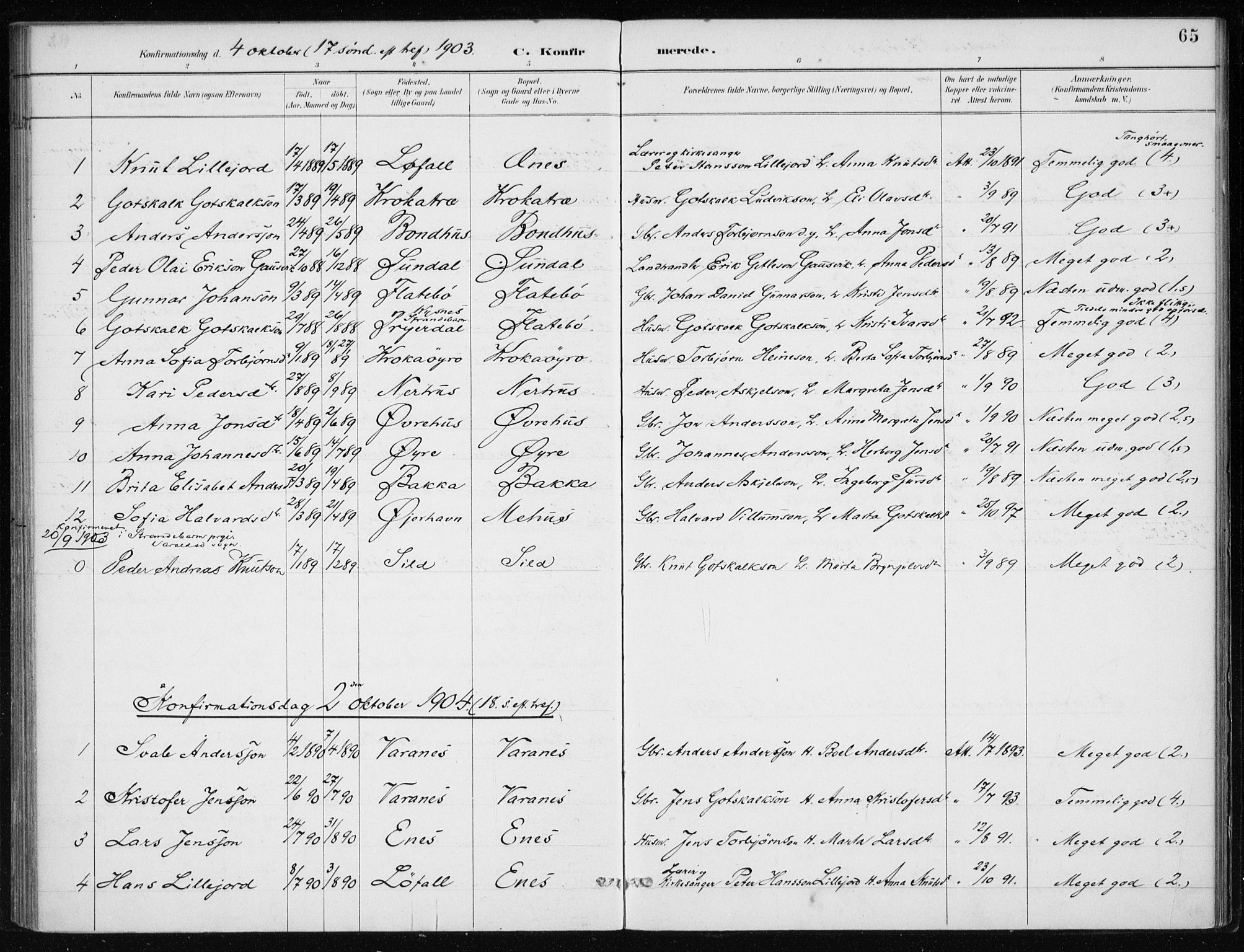 Kvinnherad sokneprestembete, SAB/A-76401/H/Haa: Parish register (official) no. F 1, 1887-1912, p. 65