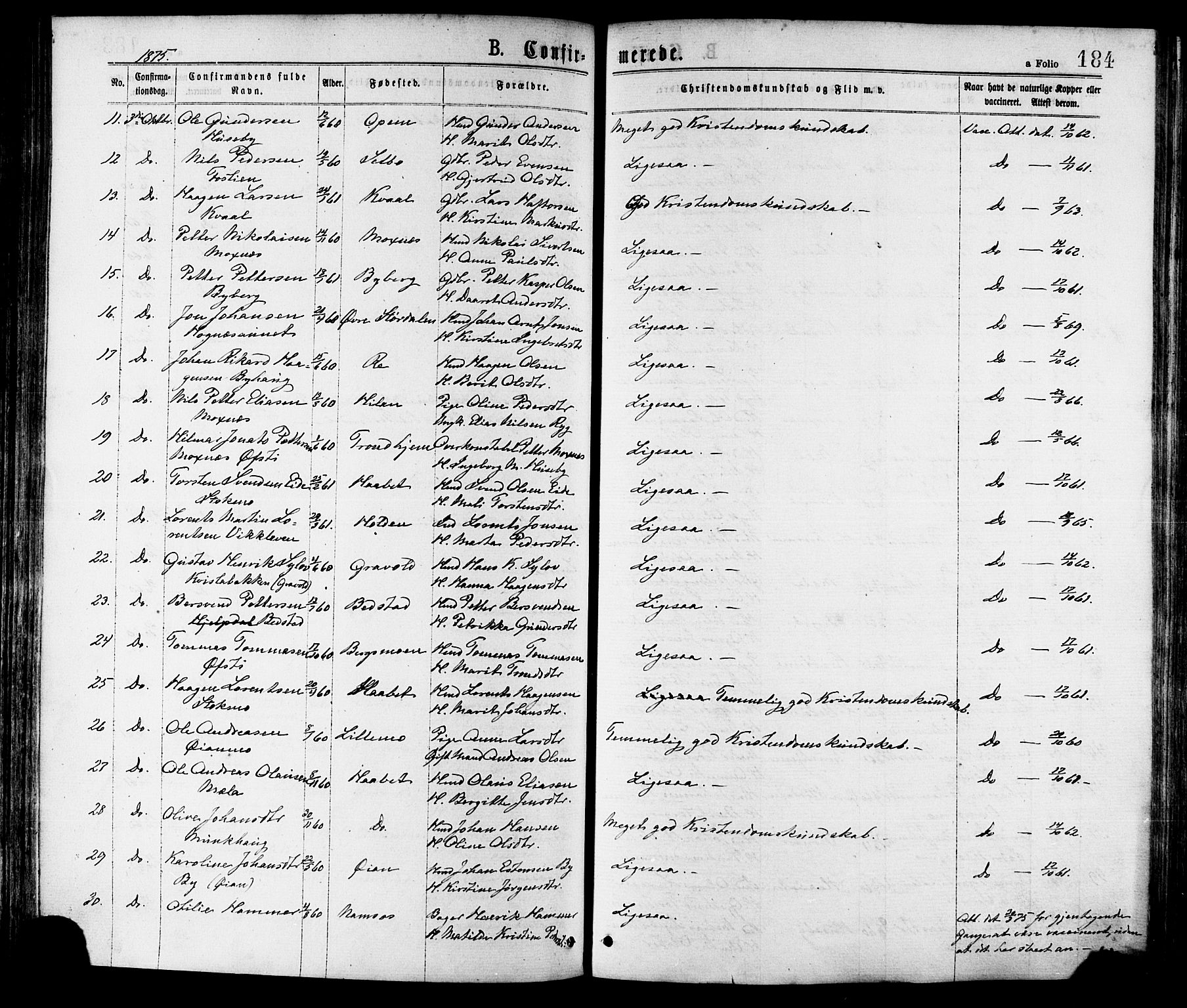 Ministerialprotokoller, klokkerbøker og fødselsregistre - Nord-Trøndelag, AV/SAT-A-1458/709/L0076: Parish register (official) no. 709A16, 1871-1879, p. 184