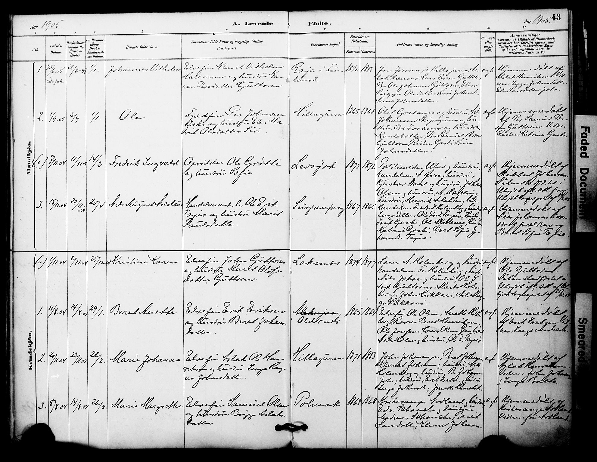 Nesseby sokneprestkontor, SATØ/S-1330/H/Ha/L0005kirke: Parish register (official) no. 5, 1885-1906, p. 43
