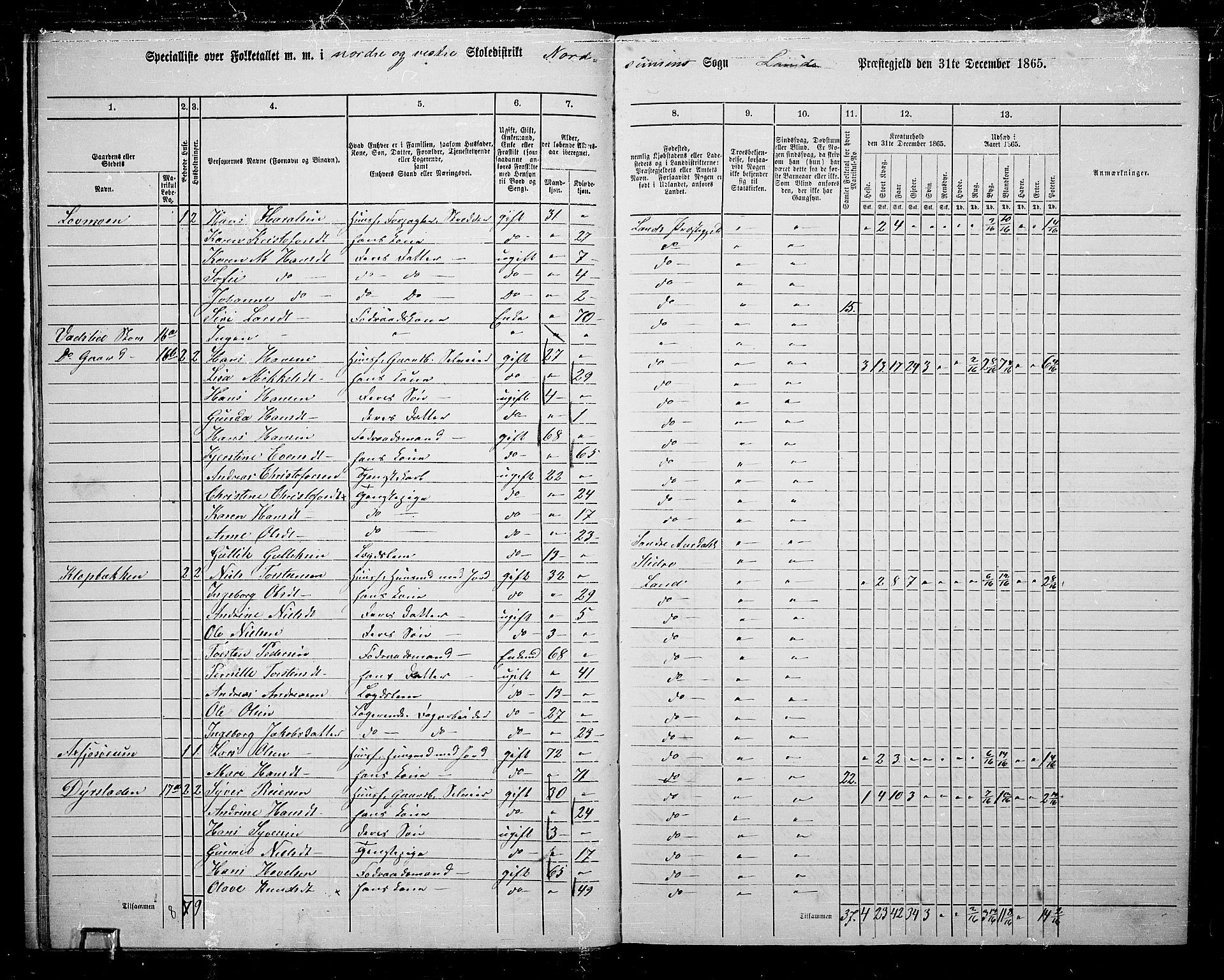 RA, 1865 census for Land, 1865, p. 22