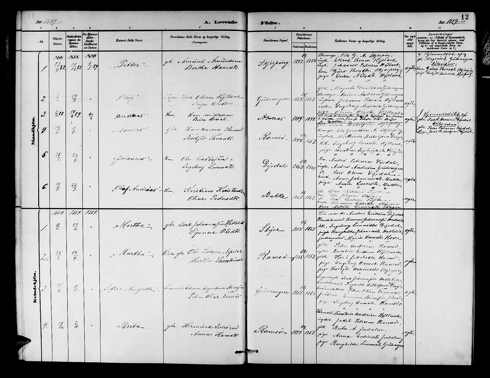 Aurland sokneprestembete, SAB/A-99937/H/Hb/Hbc/L0002: Parish register (copy) no. C 2, 1883-1900, p. 12