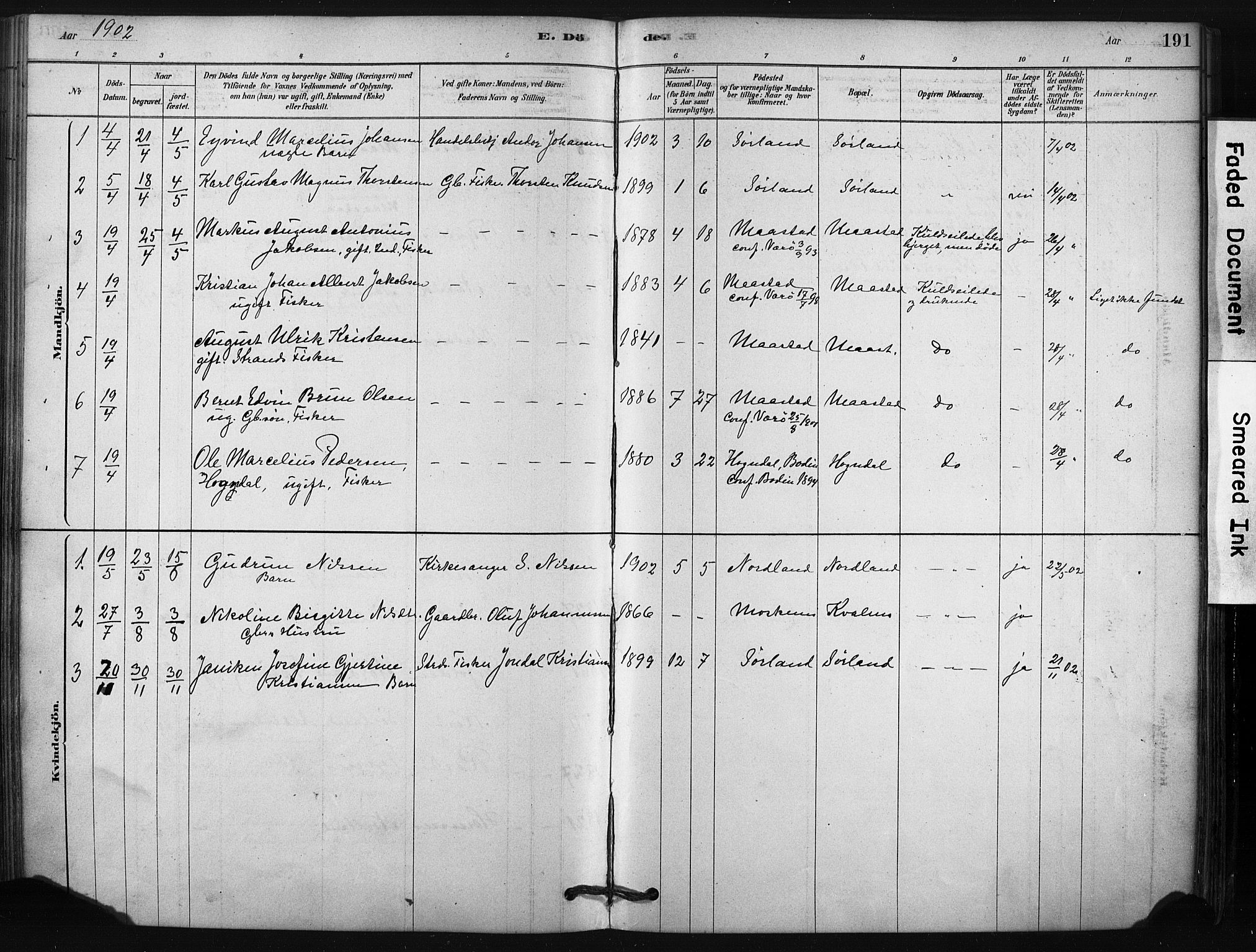 Ministerialprotokoller, klokkerbøker og fødselsregistre - Nordland, AV/SAT-A-1459/807/L0122: Parish register (official) no. 807A05, 1880-1902, p. 191