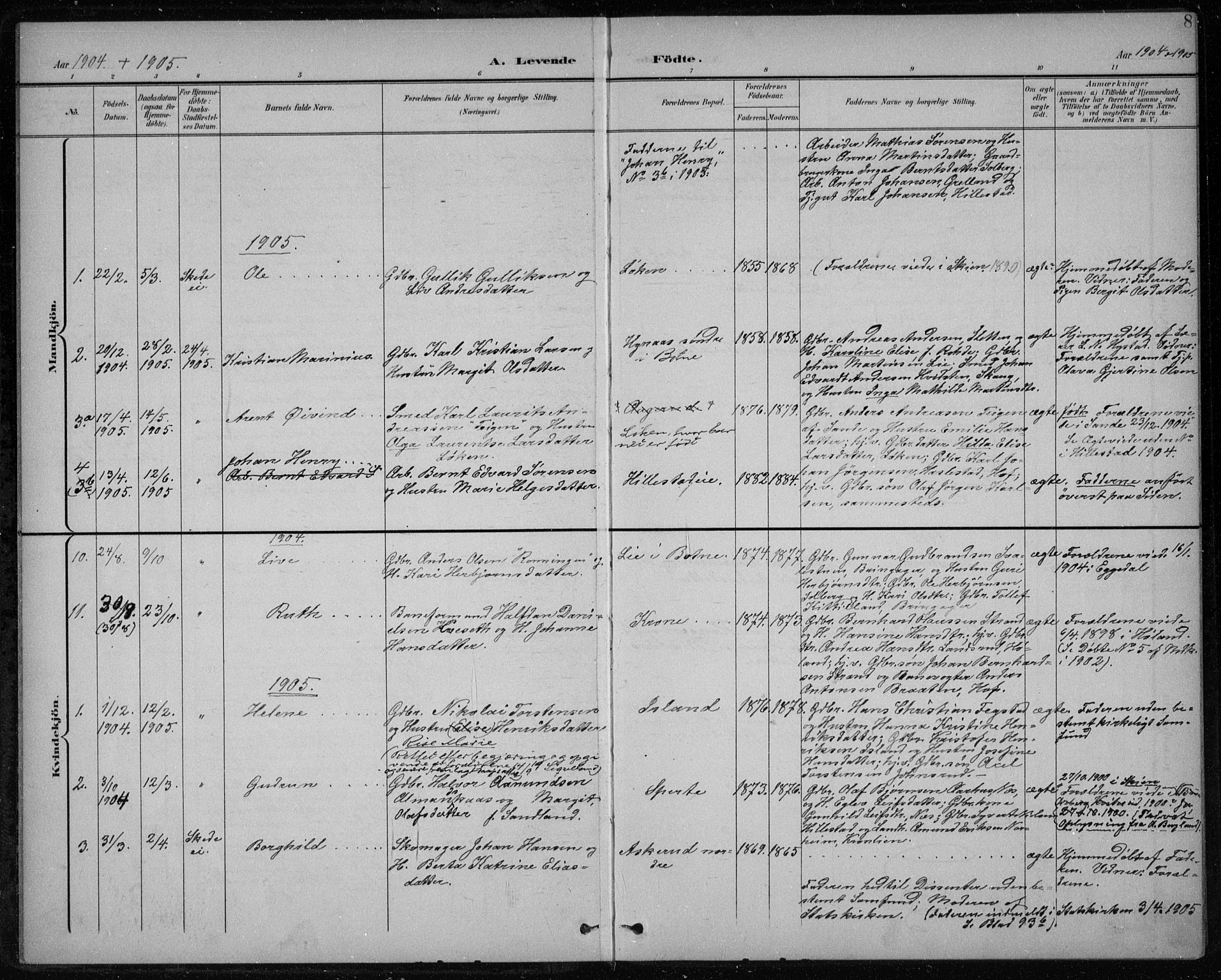 Botne kirkebøker, AV/SAKO-A-340/F/Fb/L0002: Parish register (official) no. II 2, 1902-1915, p. 8