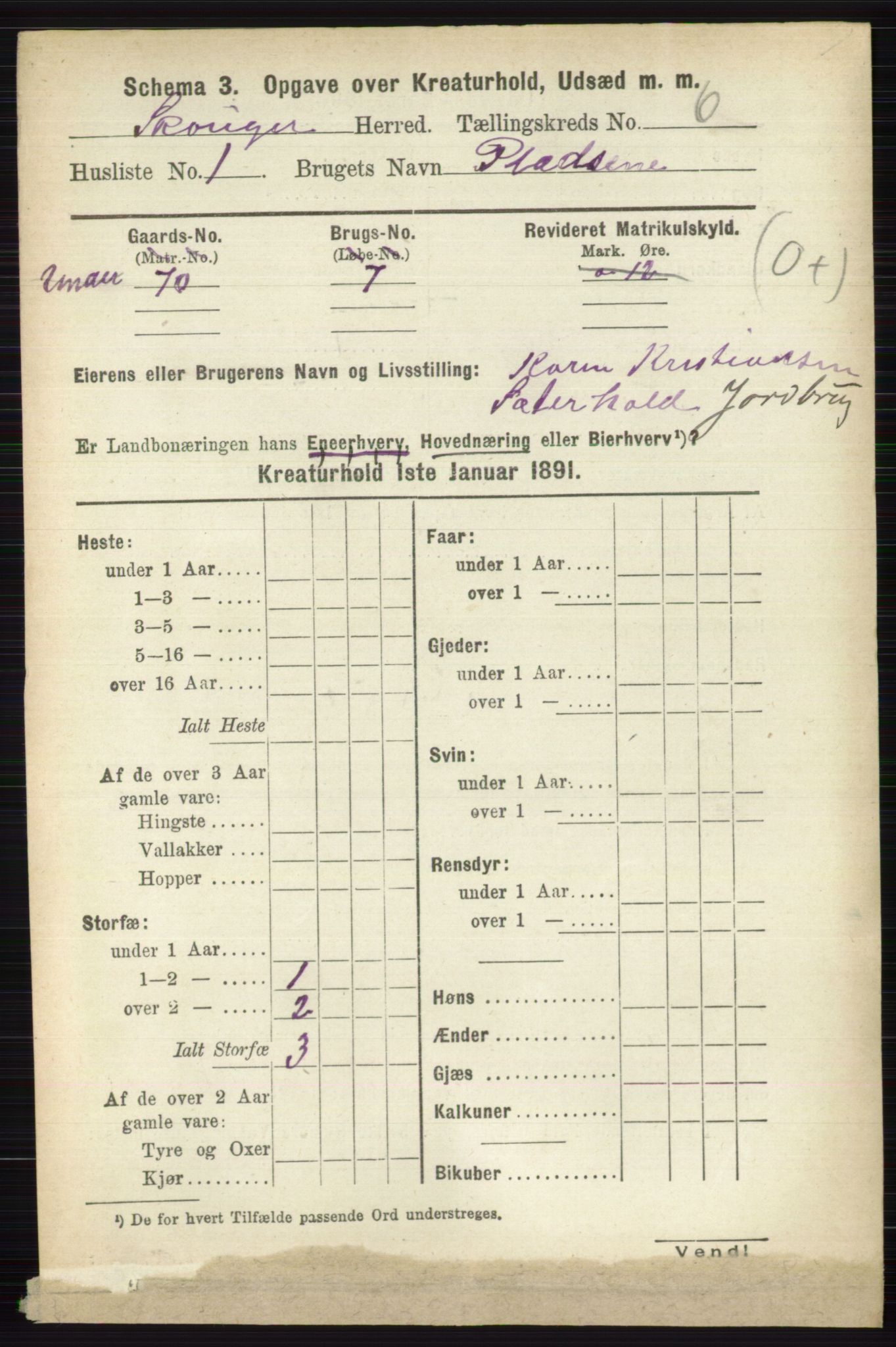 RA, 1891 census for 0712 Skoger, 1891, p. 5189