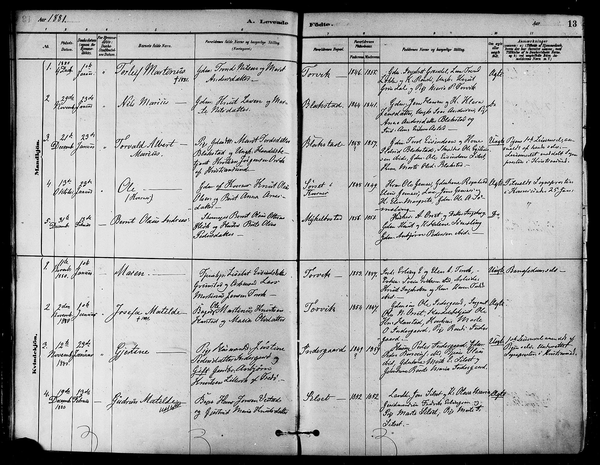 Ministerialprotokoller, klokkerbøker og fødselsregistre - Møre og Romsdal, SAT/A-1454/584/L0967: Parish register (official) no. 584A07, 1879-1894, p. 13